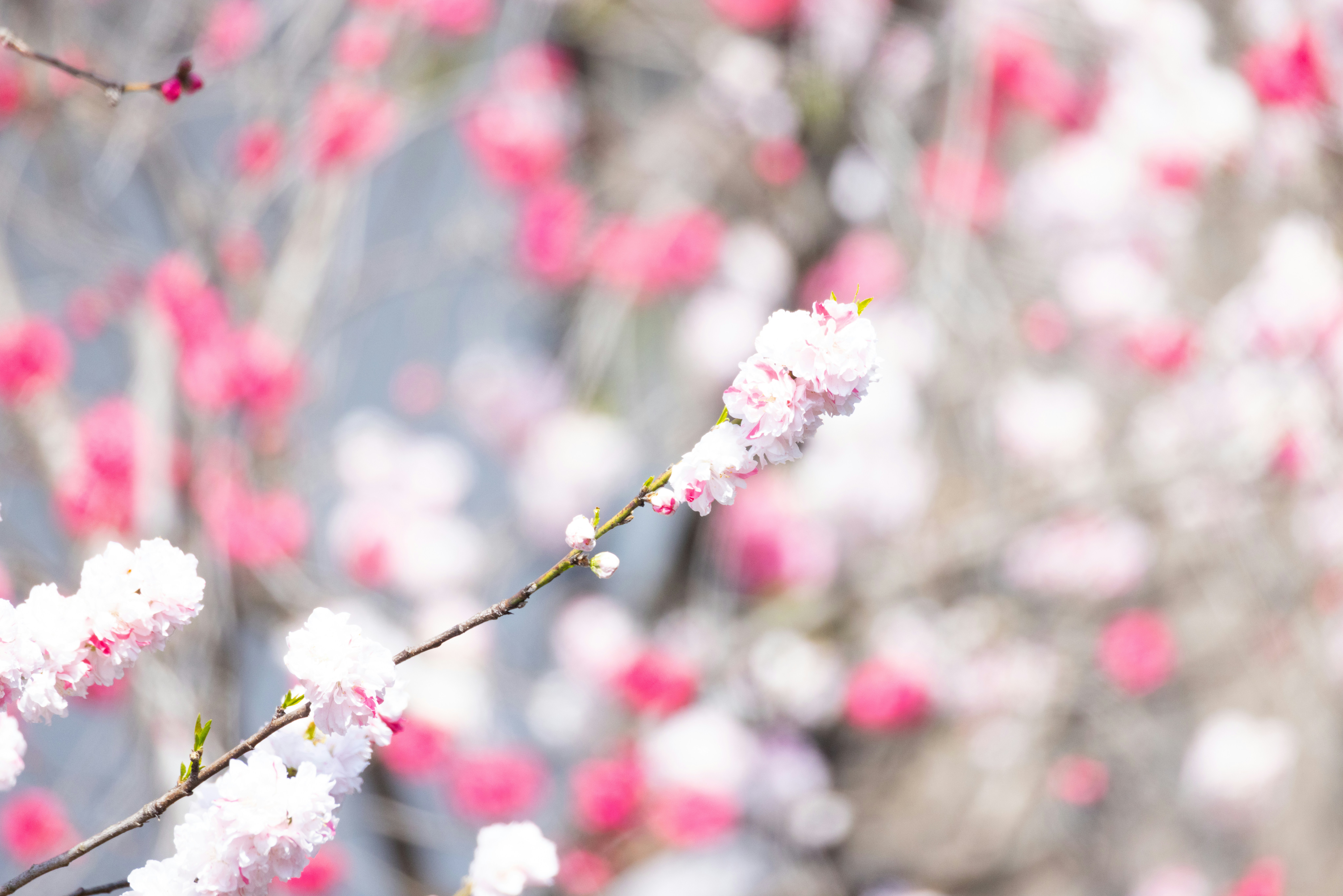 Photo by arttoinspire