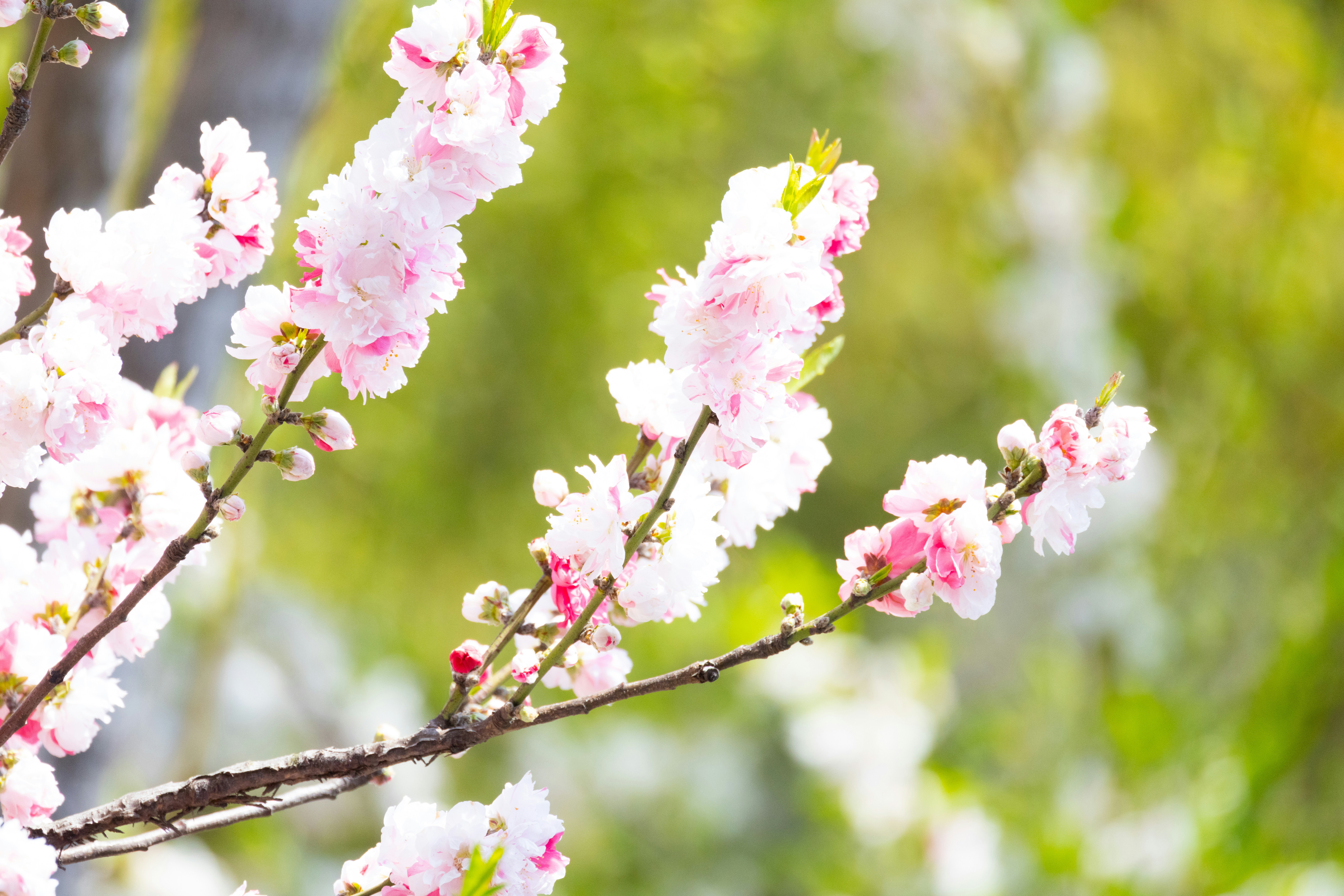 Photo by arttoinspire