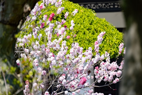Bright spring floral backdrop with cheerful pastel colors and blossoms.
