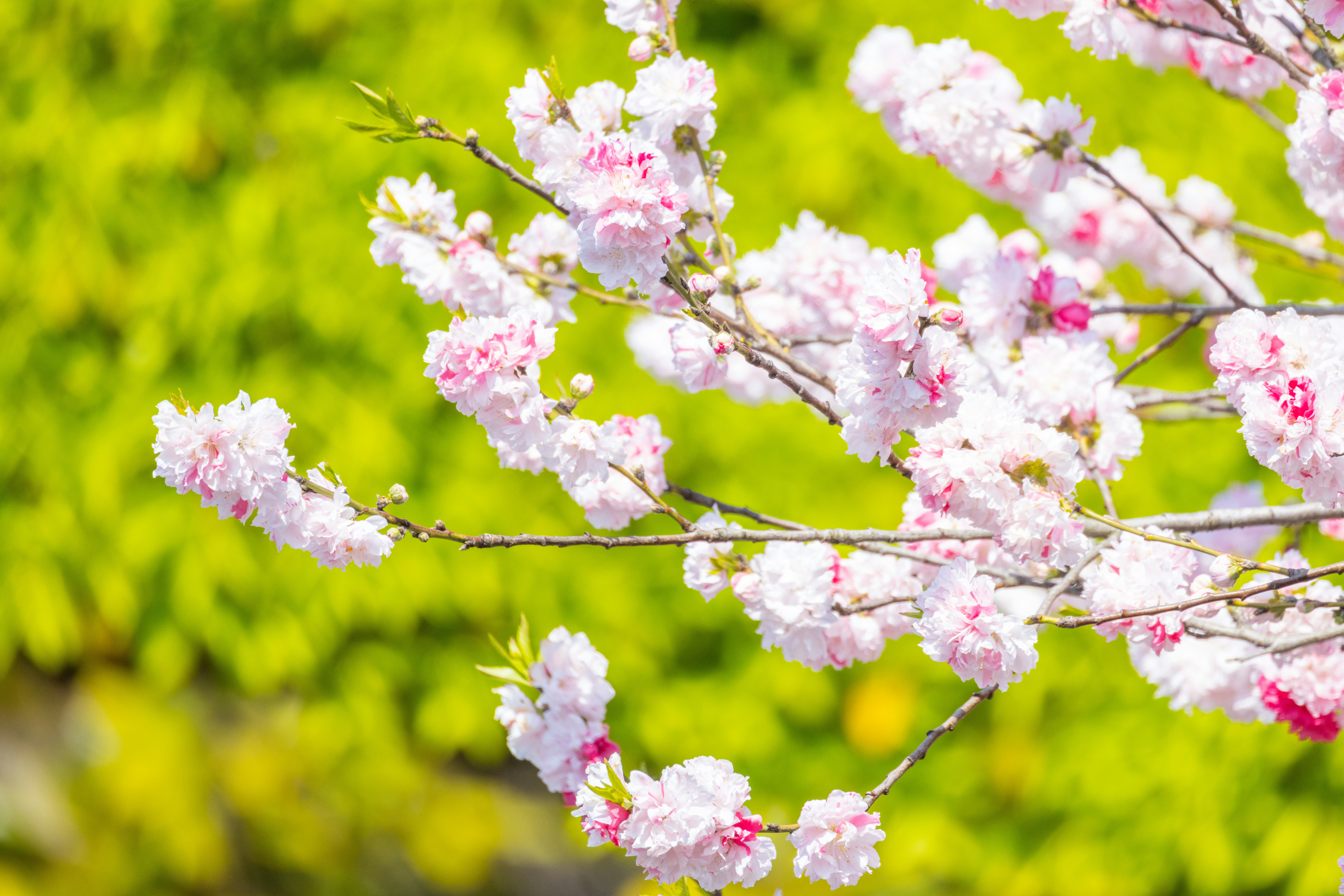 Photo by arttoinspire