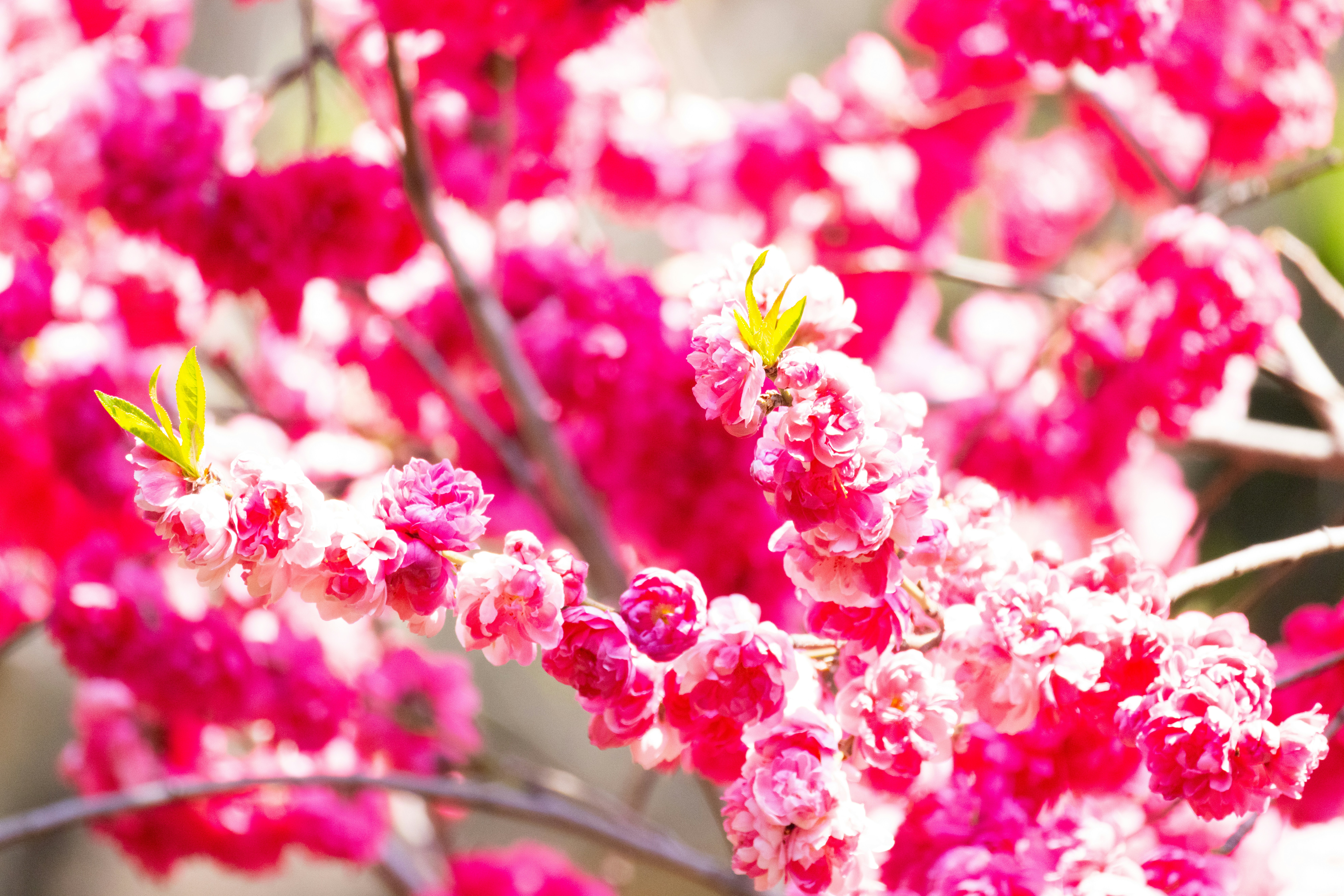 Photo by arttoinspire