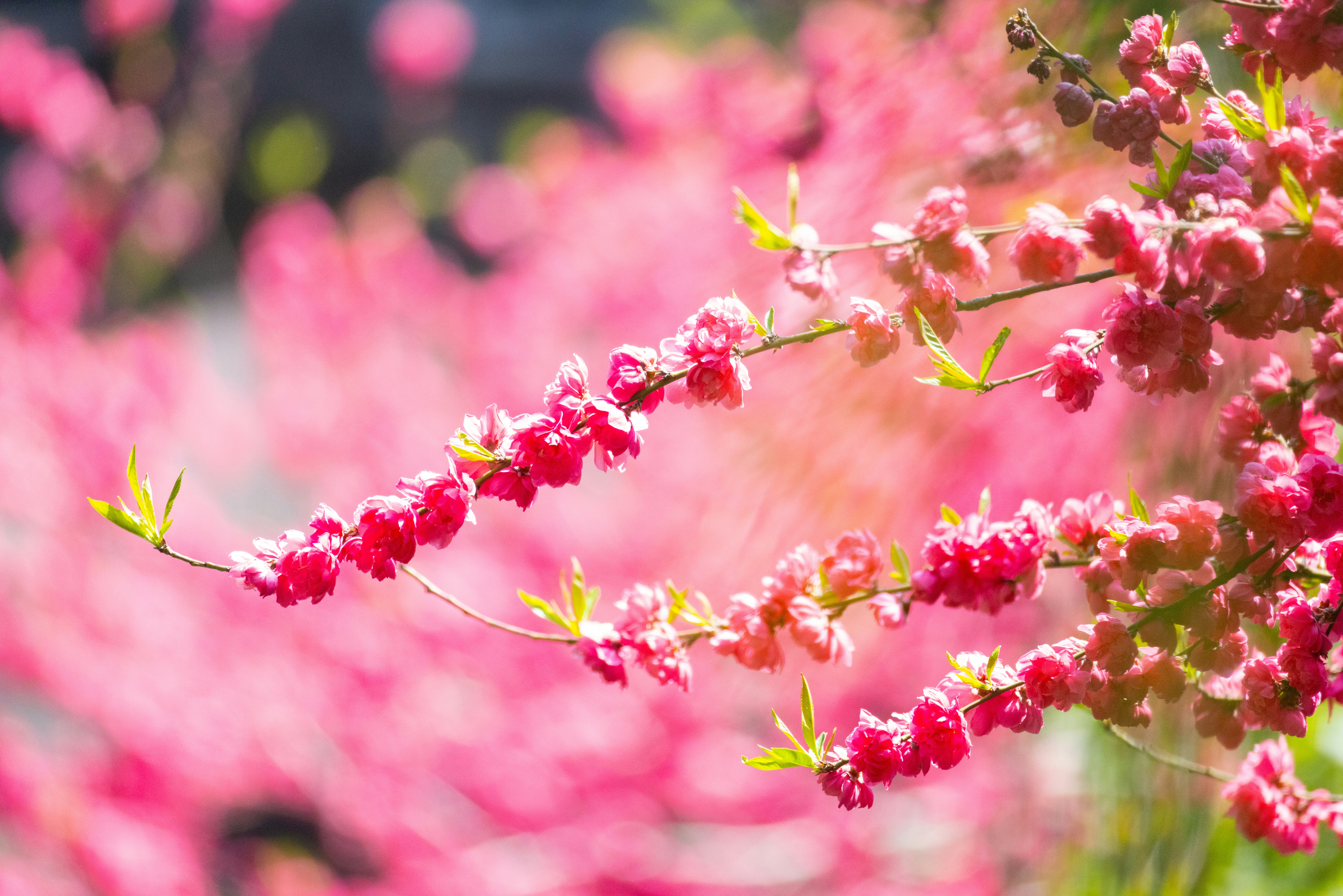 Photo by arttoinspire