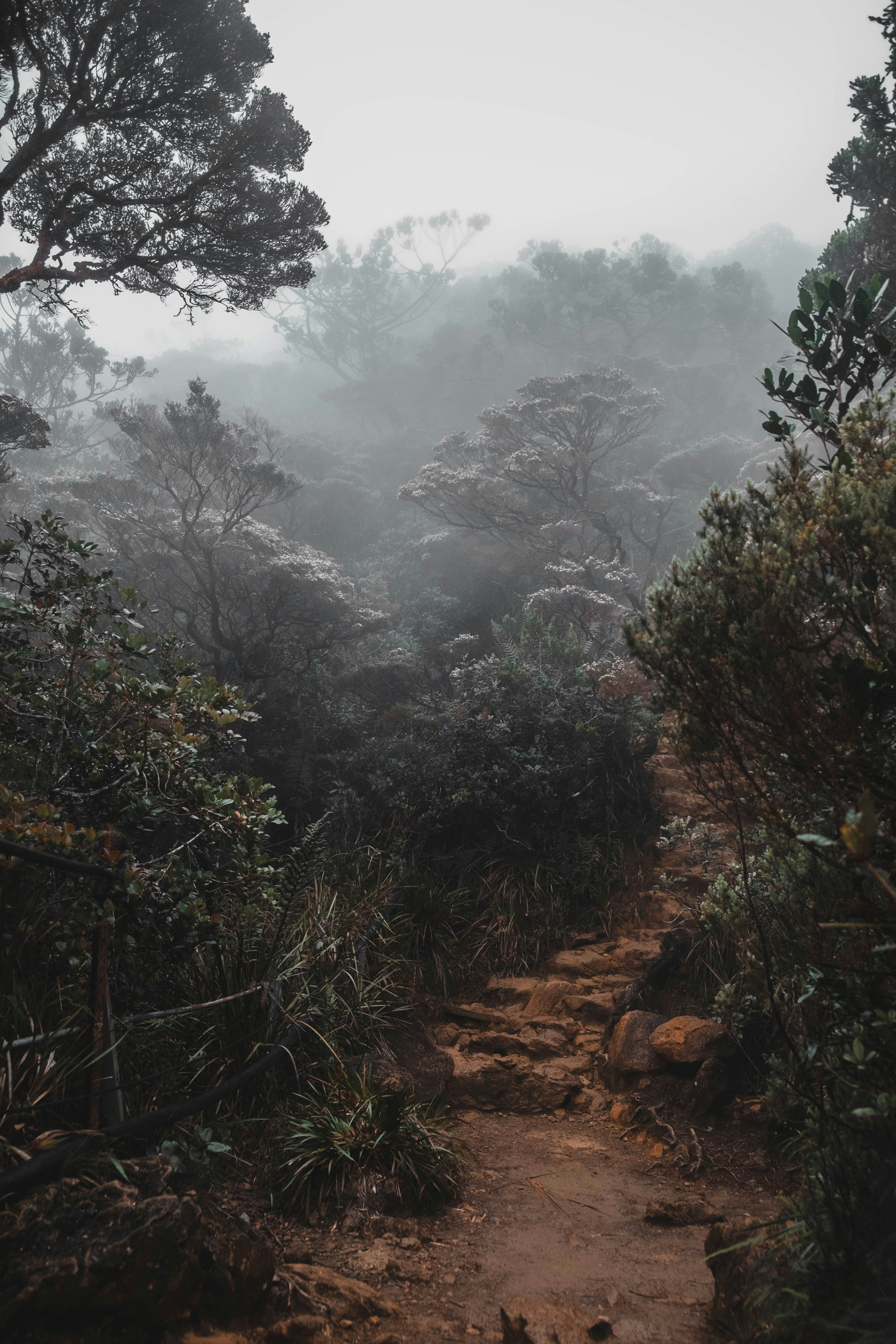 Photo by twiggoez