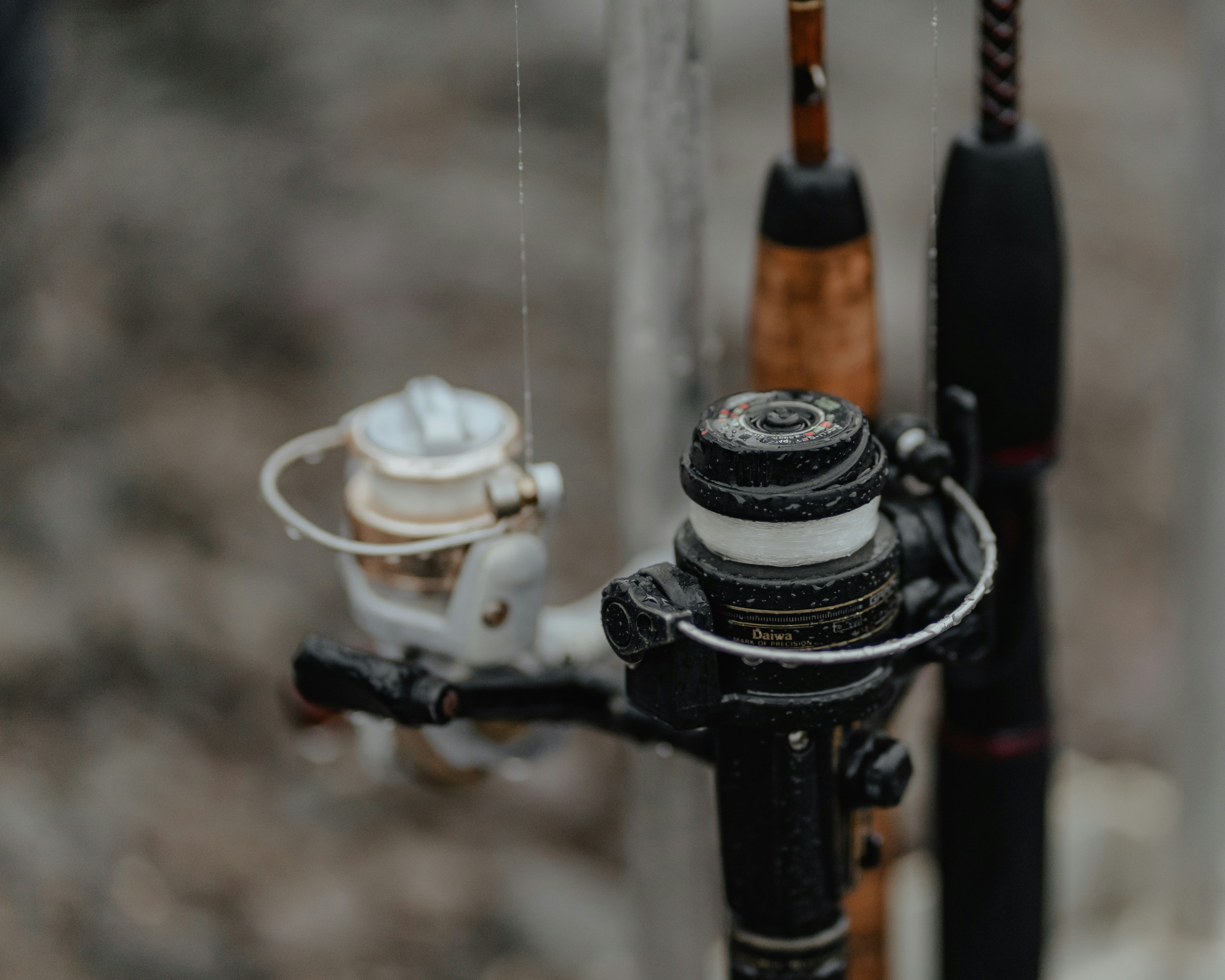 Premium Fishing Gear Collection