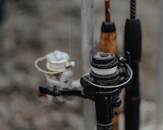 Several fishing reels are attached to rods, showing a variety of rods and reels close together. The focus is on the intricate details of the reels, which appear to be wet, suggesting they have been used recently or are in a humid environment.