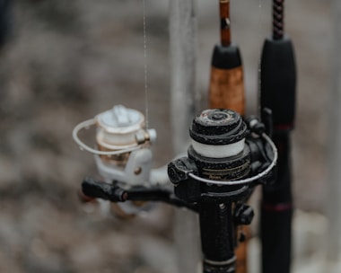 Several fishing reels are attached to rods, showing a variety of rods and reels close together. The focus is on the intricate details of the reels, which appear to be wet, suggesting they have been used recently or are in a humid environment.
