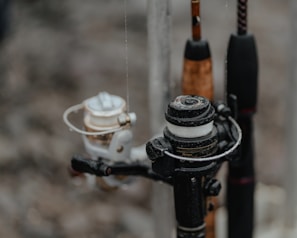 Several fishing reels are attached to rods, showing a variety of rods and reels close together. The focus is on the intricate details of the reels, which appear to be wet, suggesting they have been used recently or are in a humid environment.