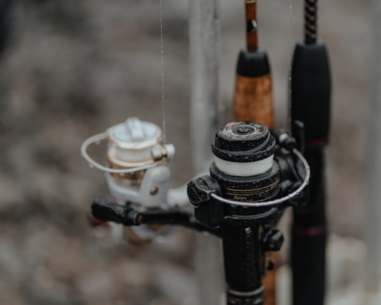 A selection of fly reels arranged in a vibrant outdoor setting.
