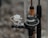 Several fishing reels are attached to rods, showing a variety of rods and reels close together. The focus is on the intricate details of the reels, which appear to be wet, suggesting they have been used recently or are in a humid environment.