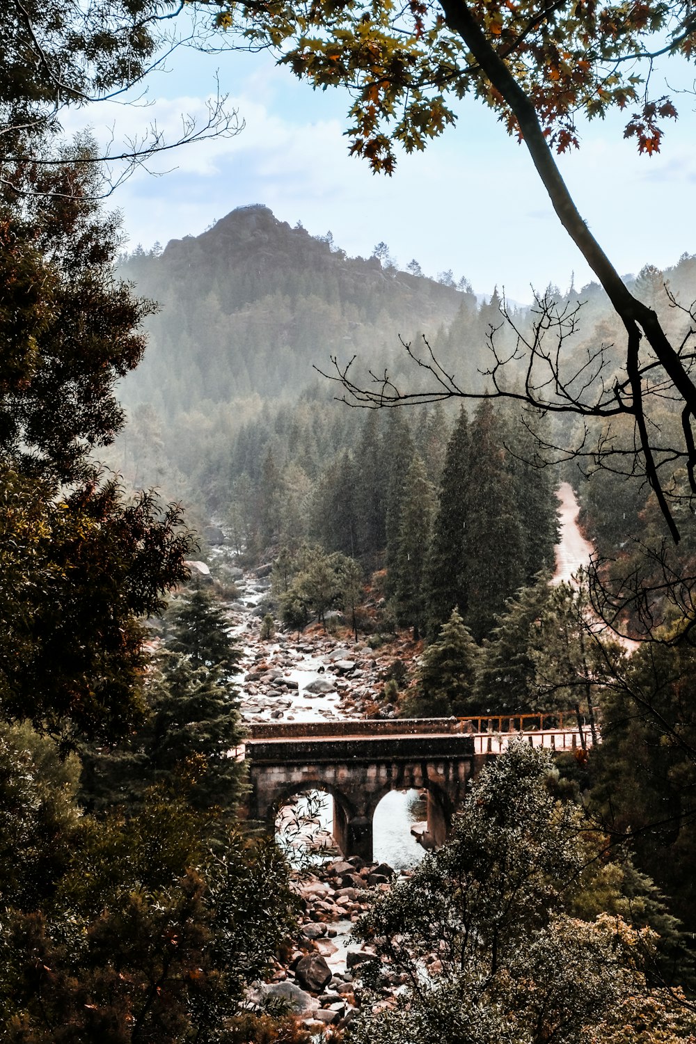 uma ponte sobre um rio cercado por árvores