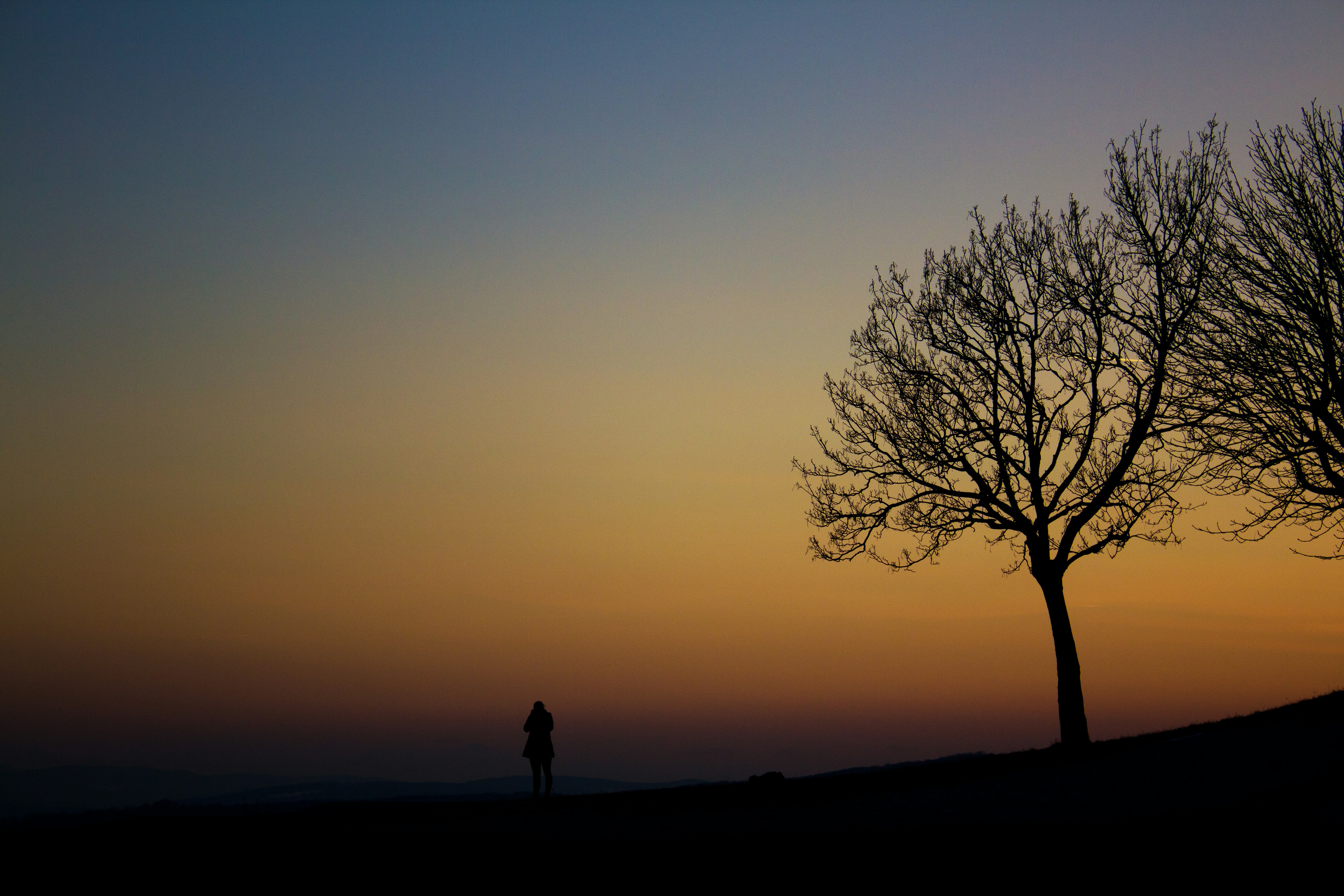 a person standing next to a tree at sunset
