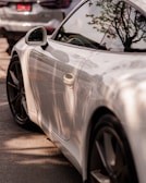 Close-up of a gleaming silver sedan freshly waxed with reflections of surrounding trees.