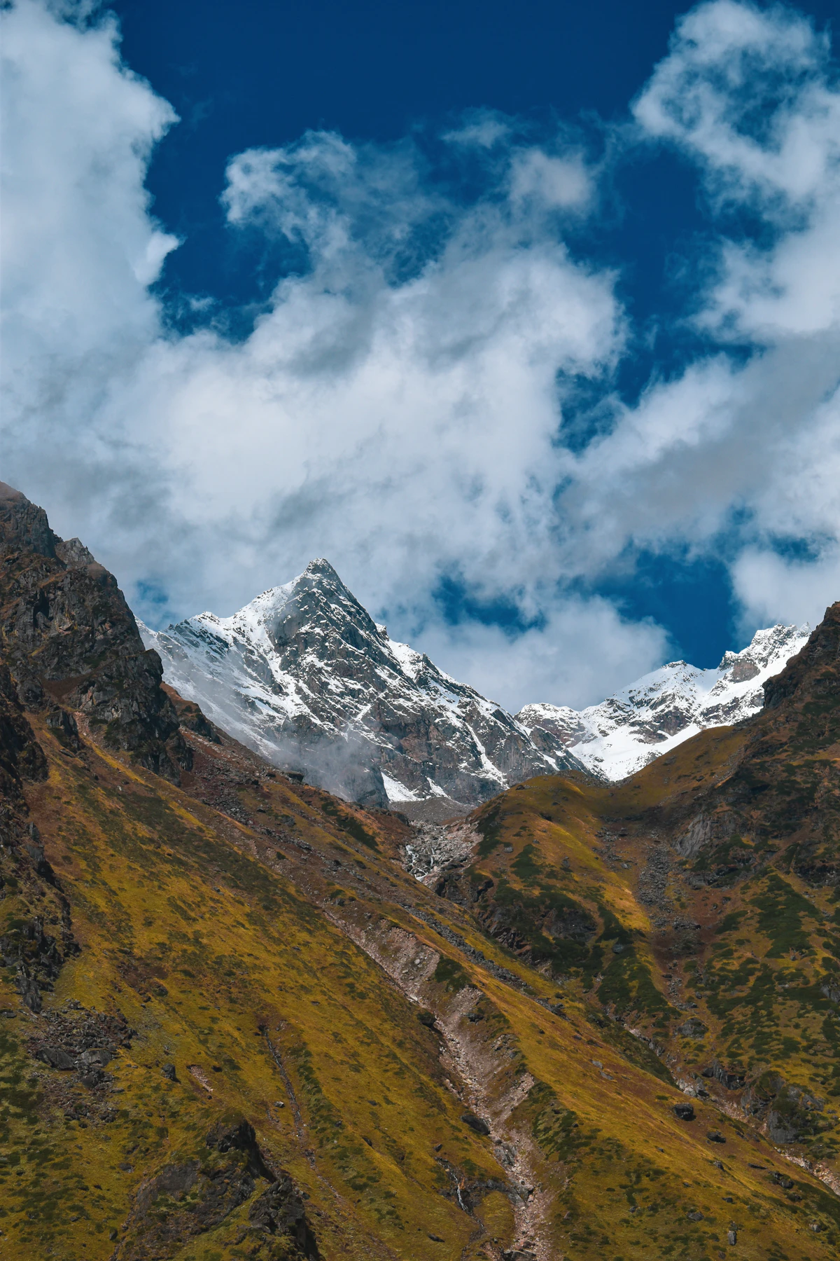 Kedarnath Smart Clinic
