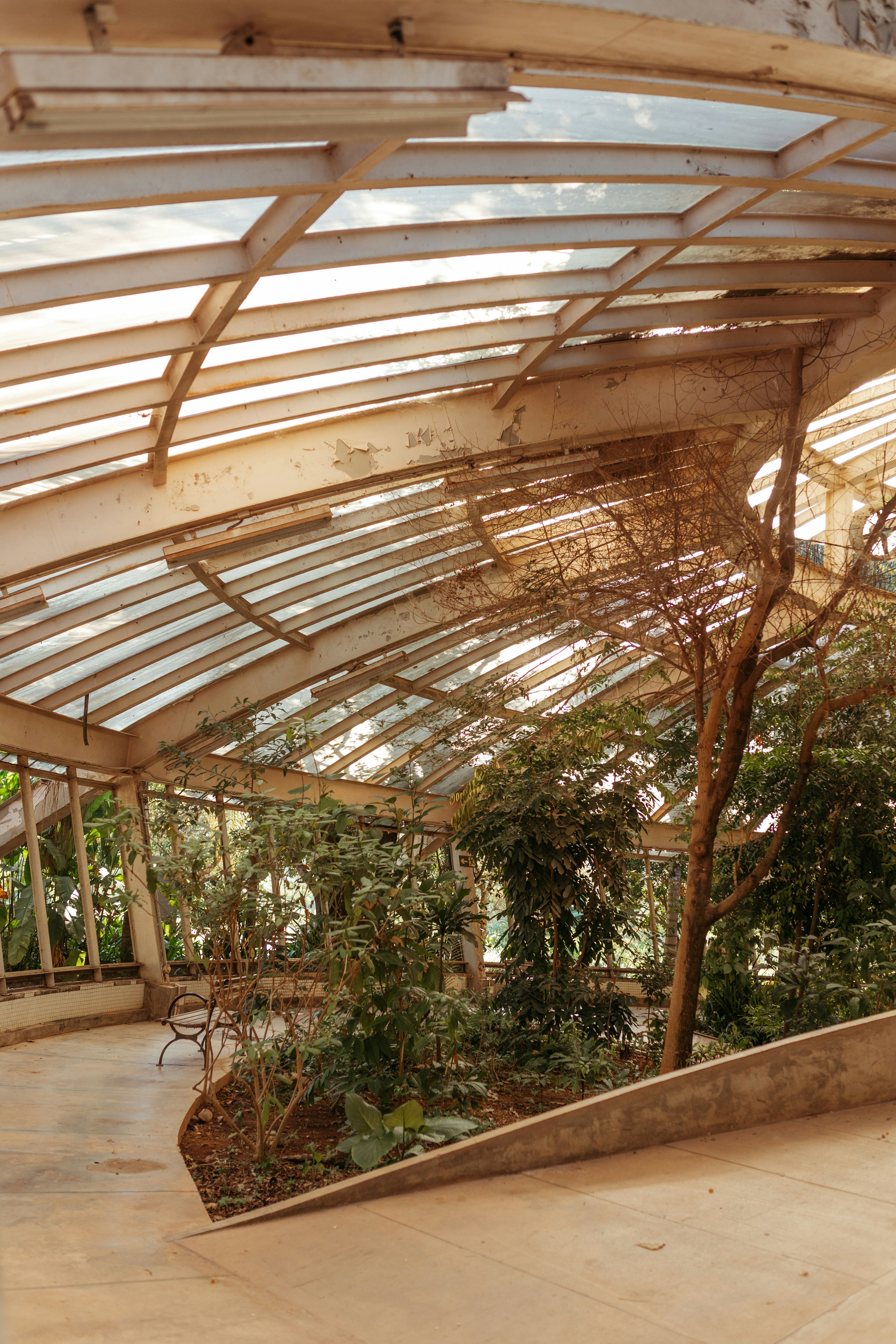 the inside of a building with a glass roof