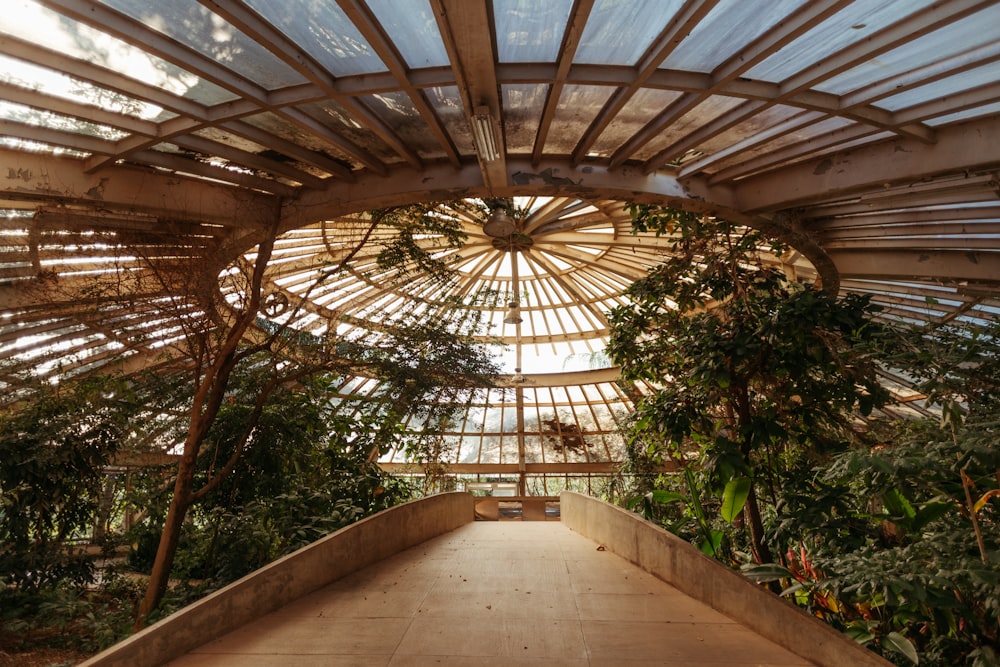 the inside of a building with plants and a walkway