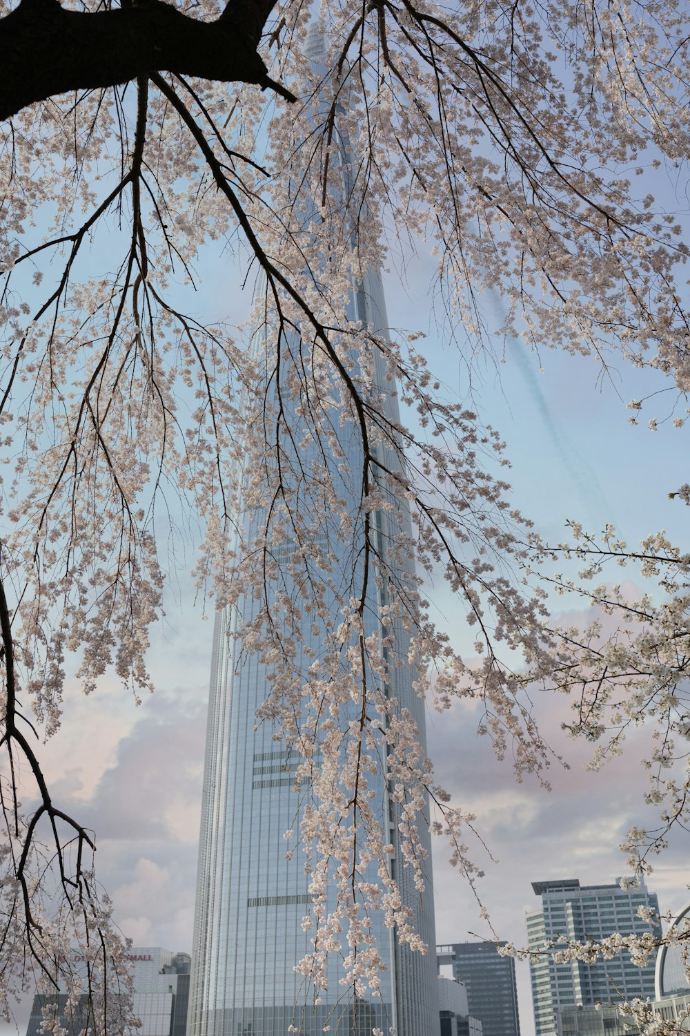 a tall building towering over a city next to a tree