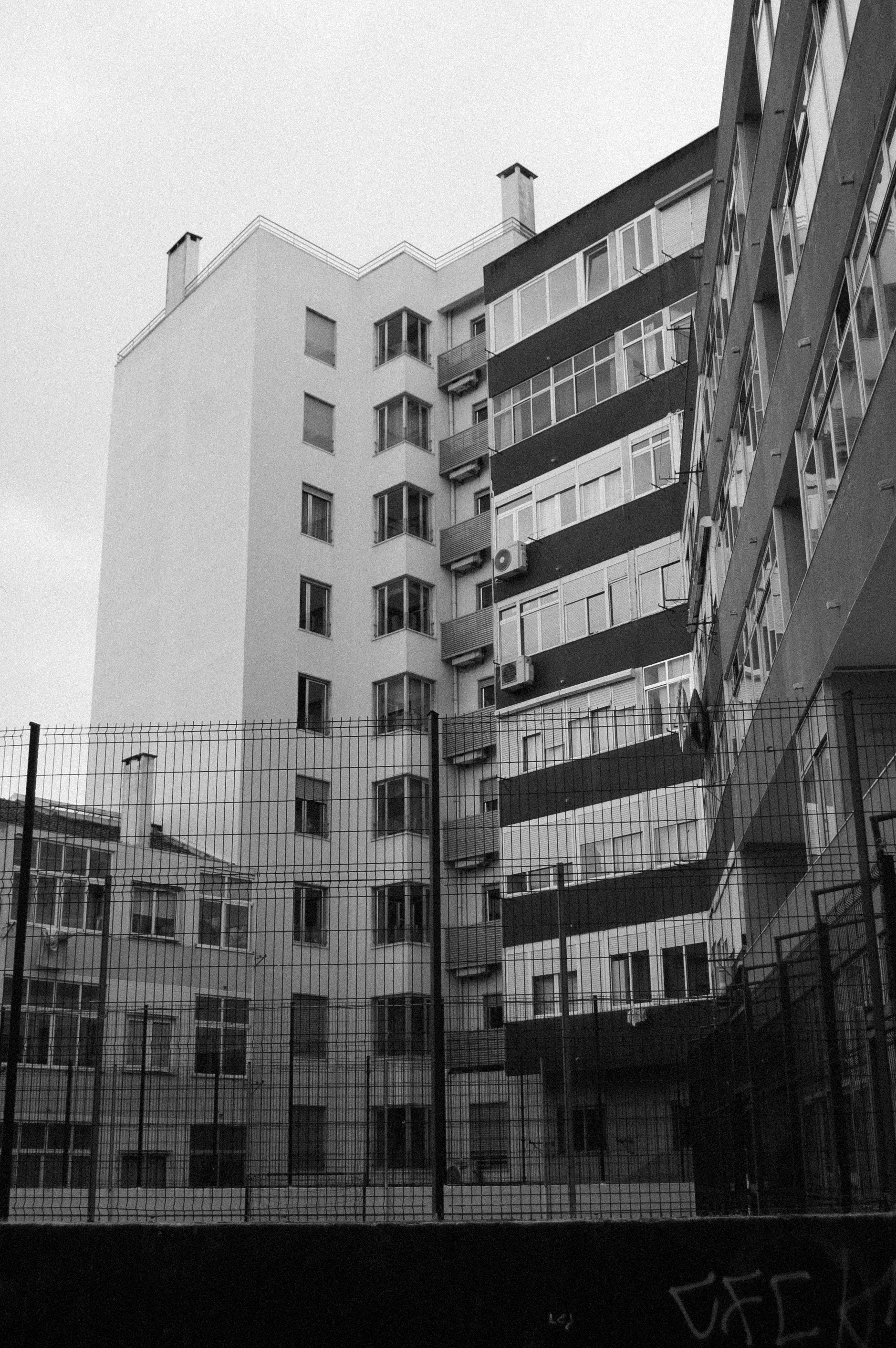 Photo by shoku_shoku