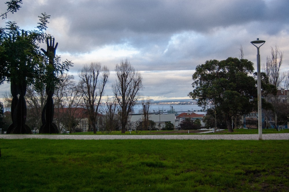 a view of a body of water from a park