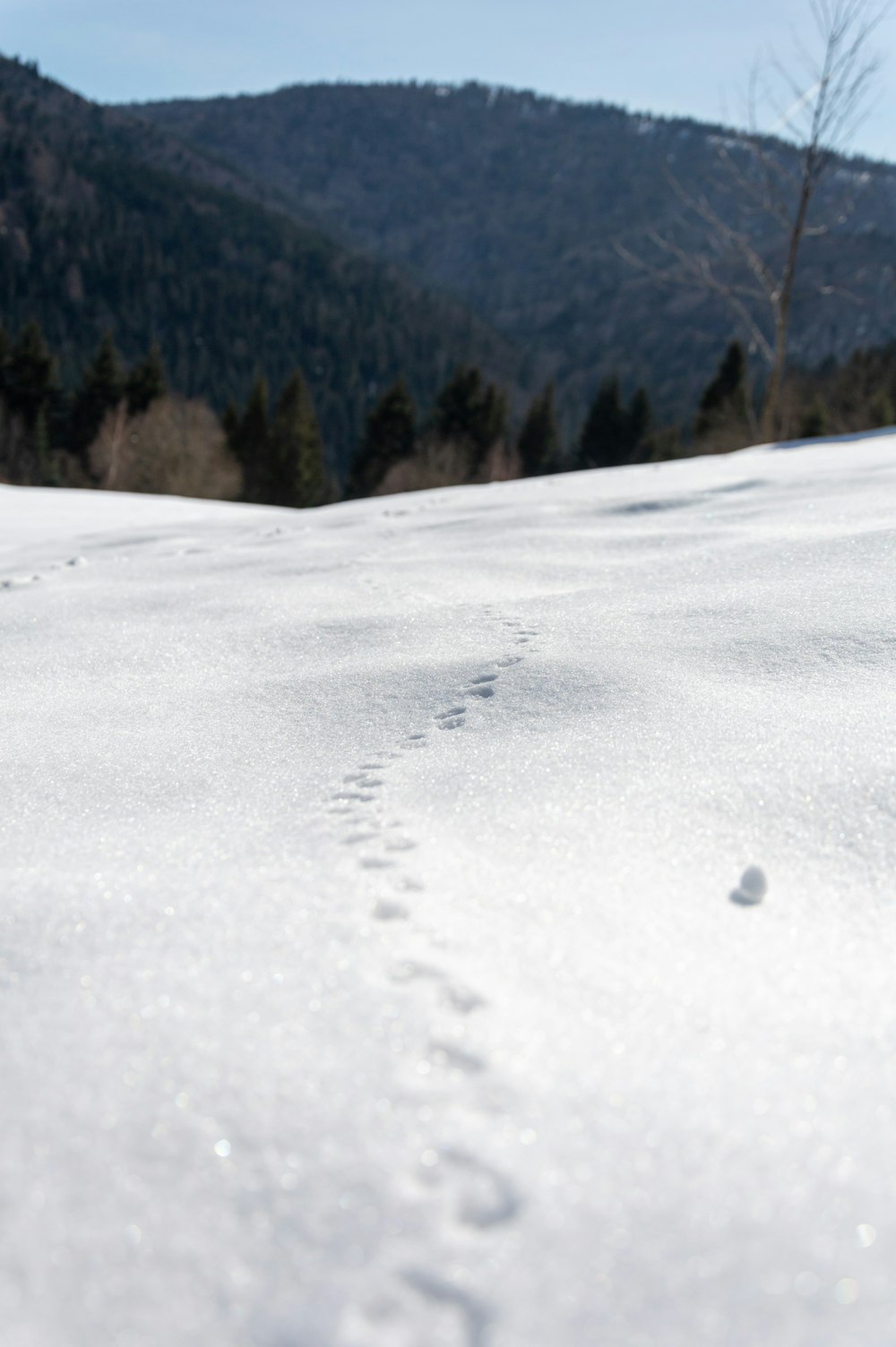 a person is walking in the snow with a pair of skis