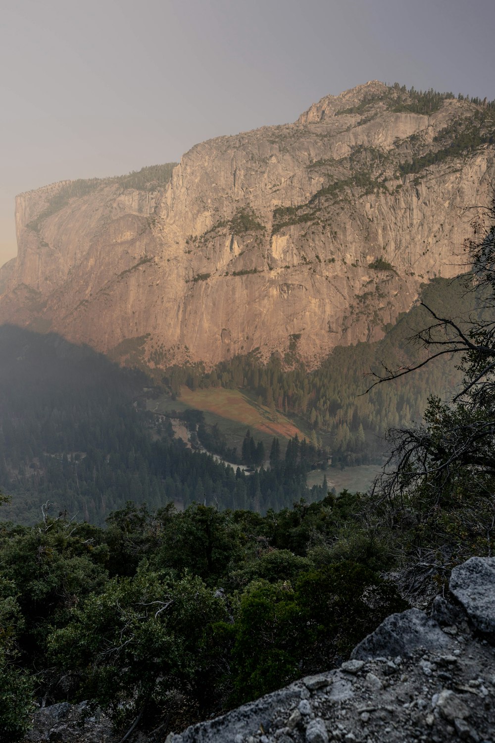 a view of a valley with a mountain in the background