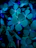 Close-up of a gold clover decoration on a dark green-gray background.