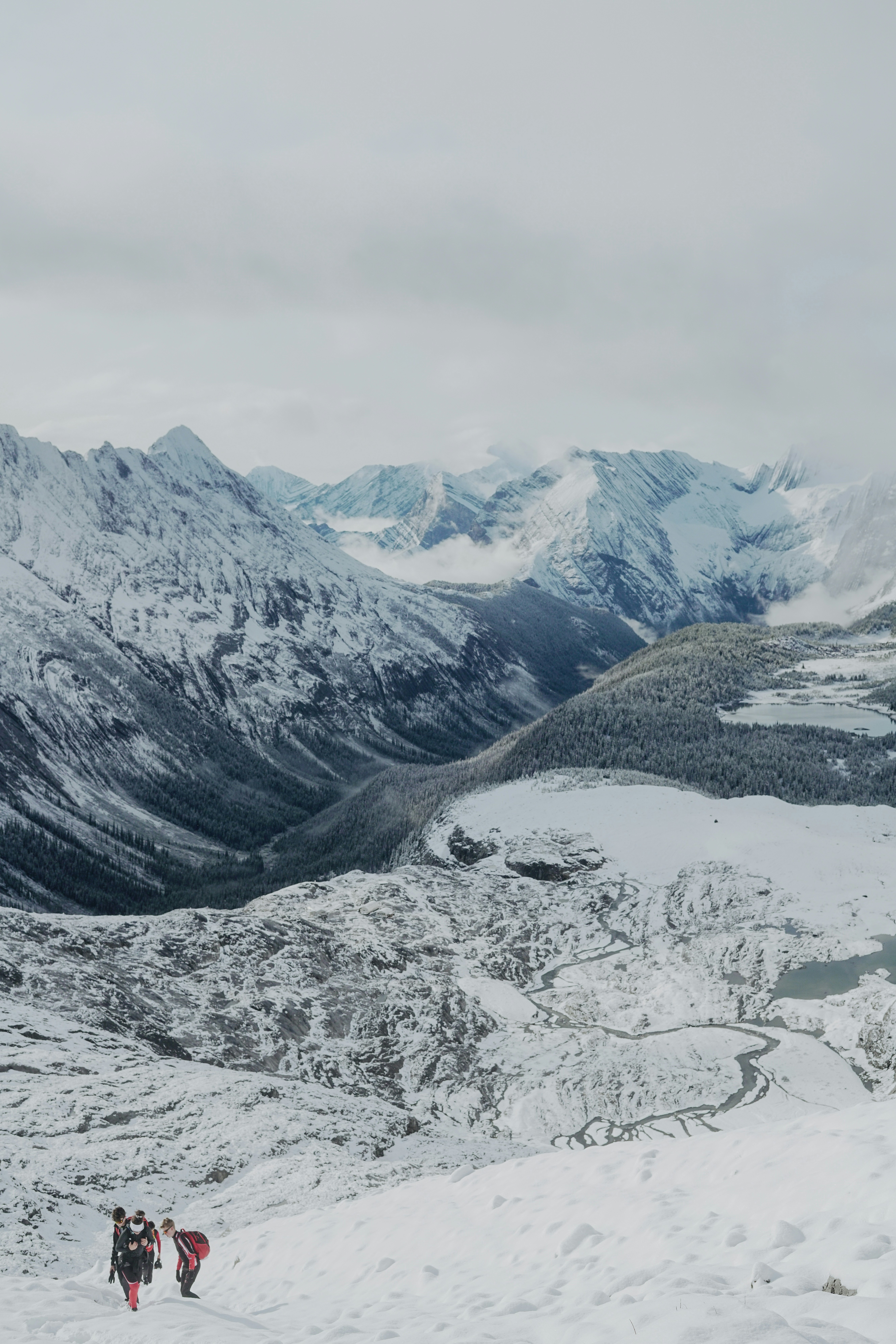 Photo by torinandrewss