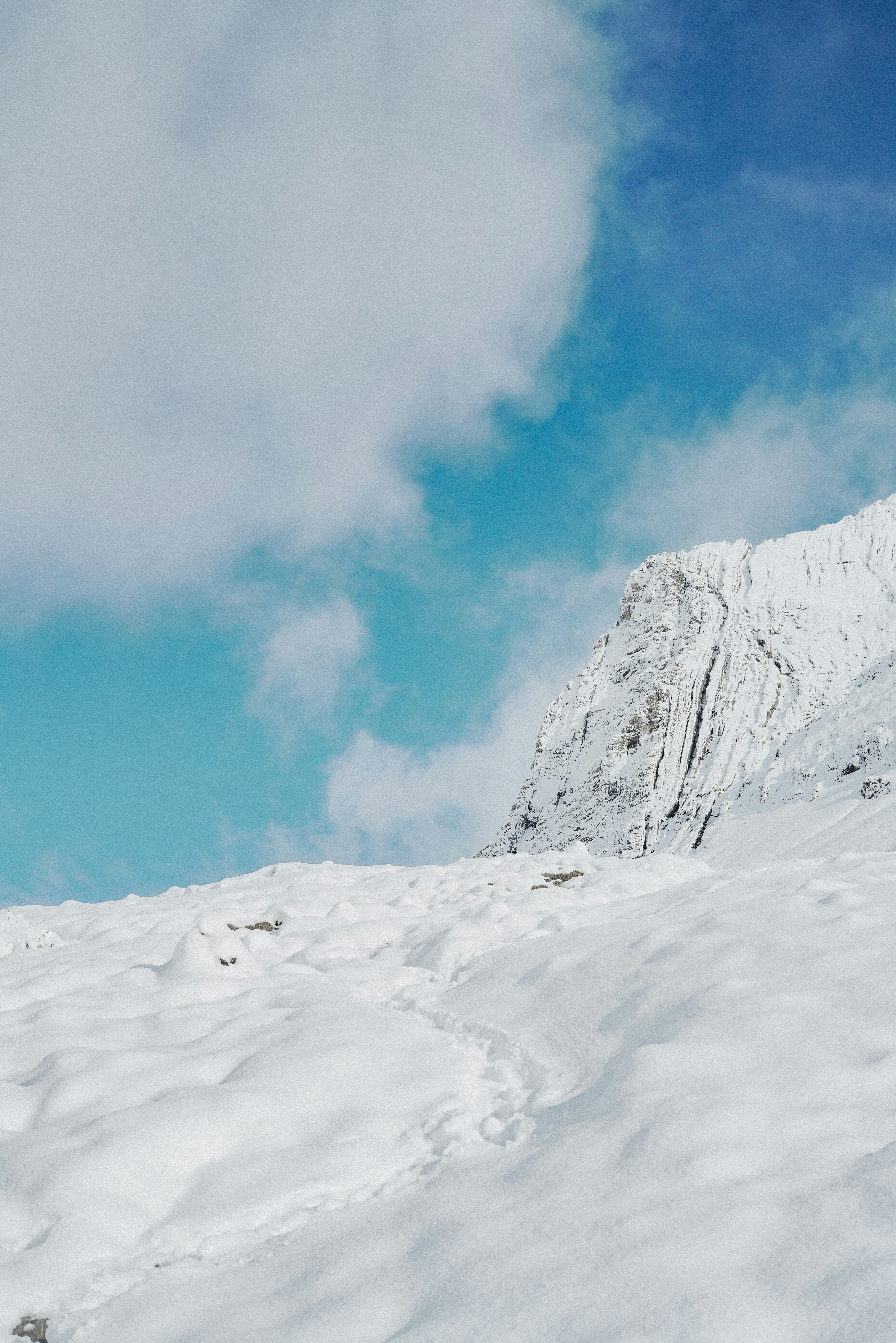 Photo by torinandrewss