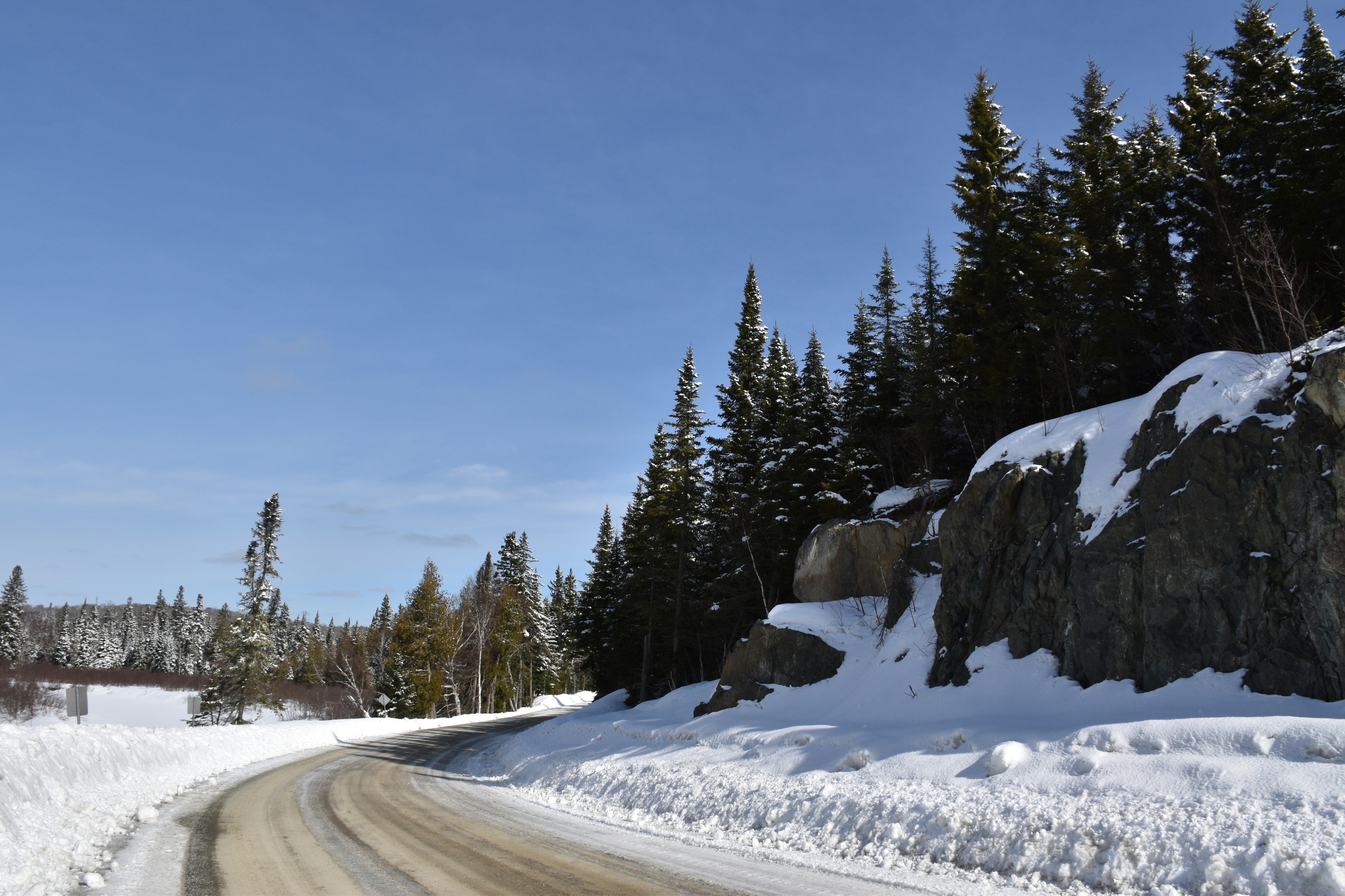 a dirt road surrounded by snow and trees
