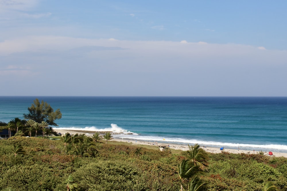 a view of a beach and ocean from a hill