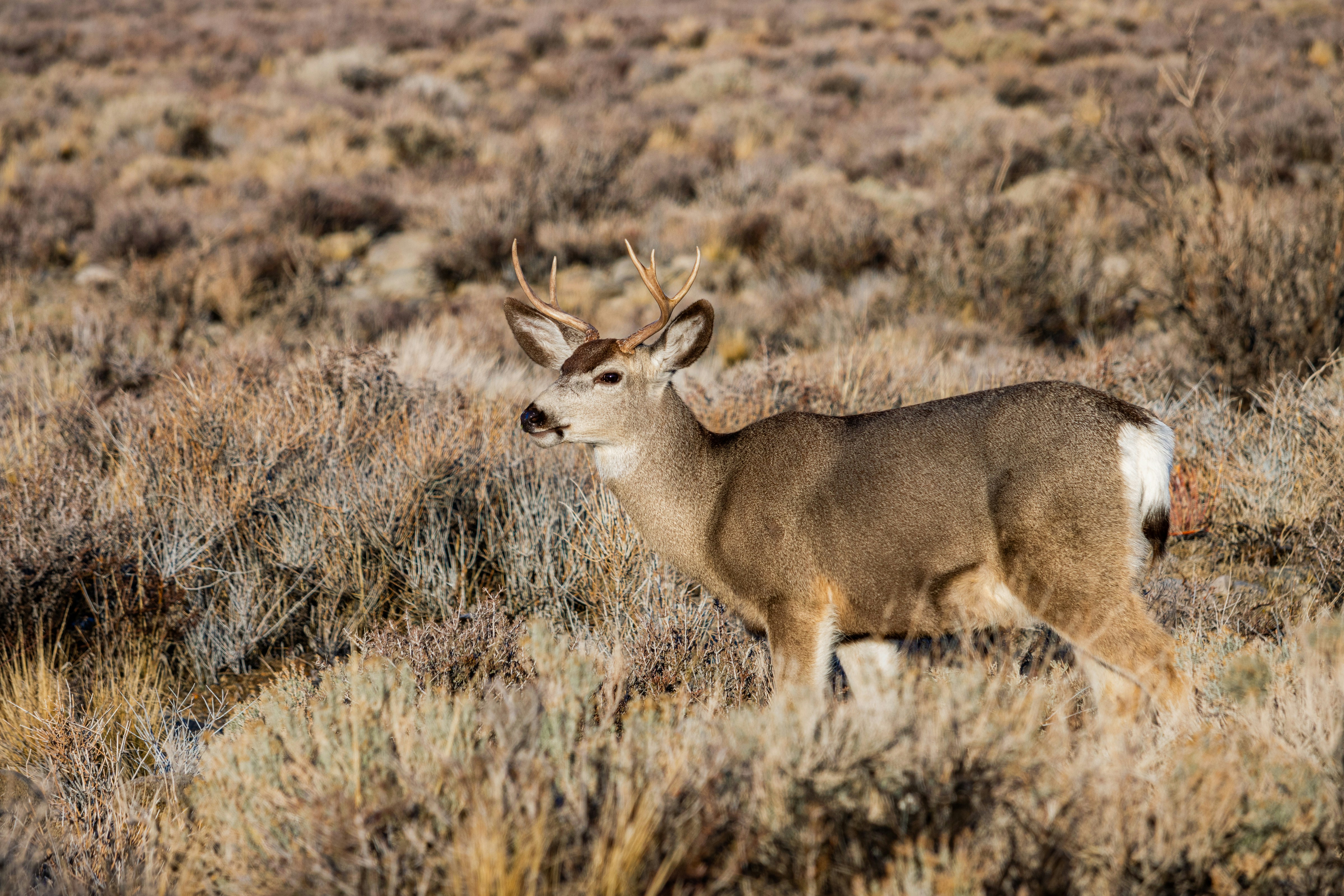 Photo by rs2photography