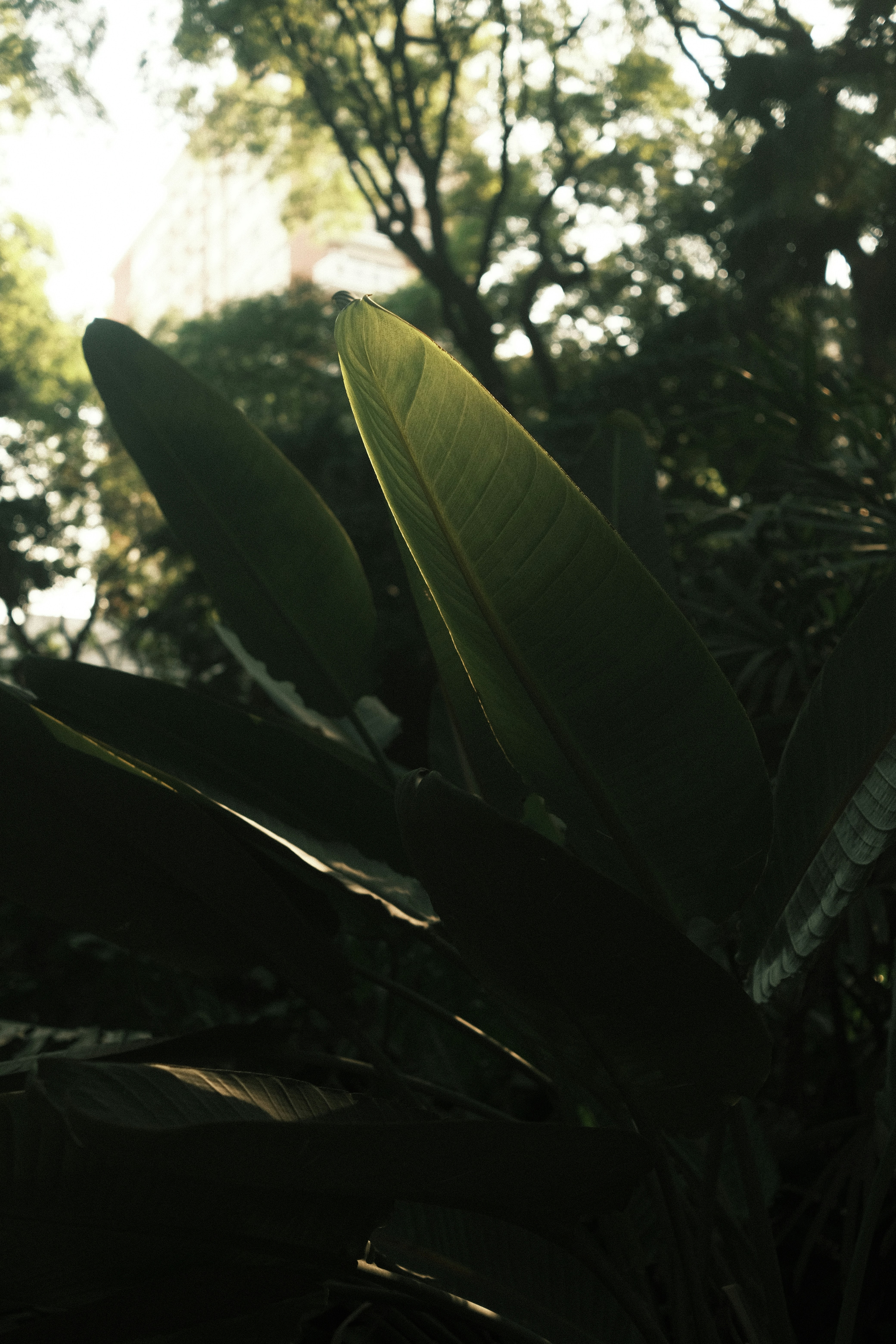 Photo by gabrielreisnf