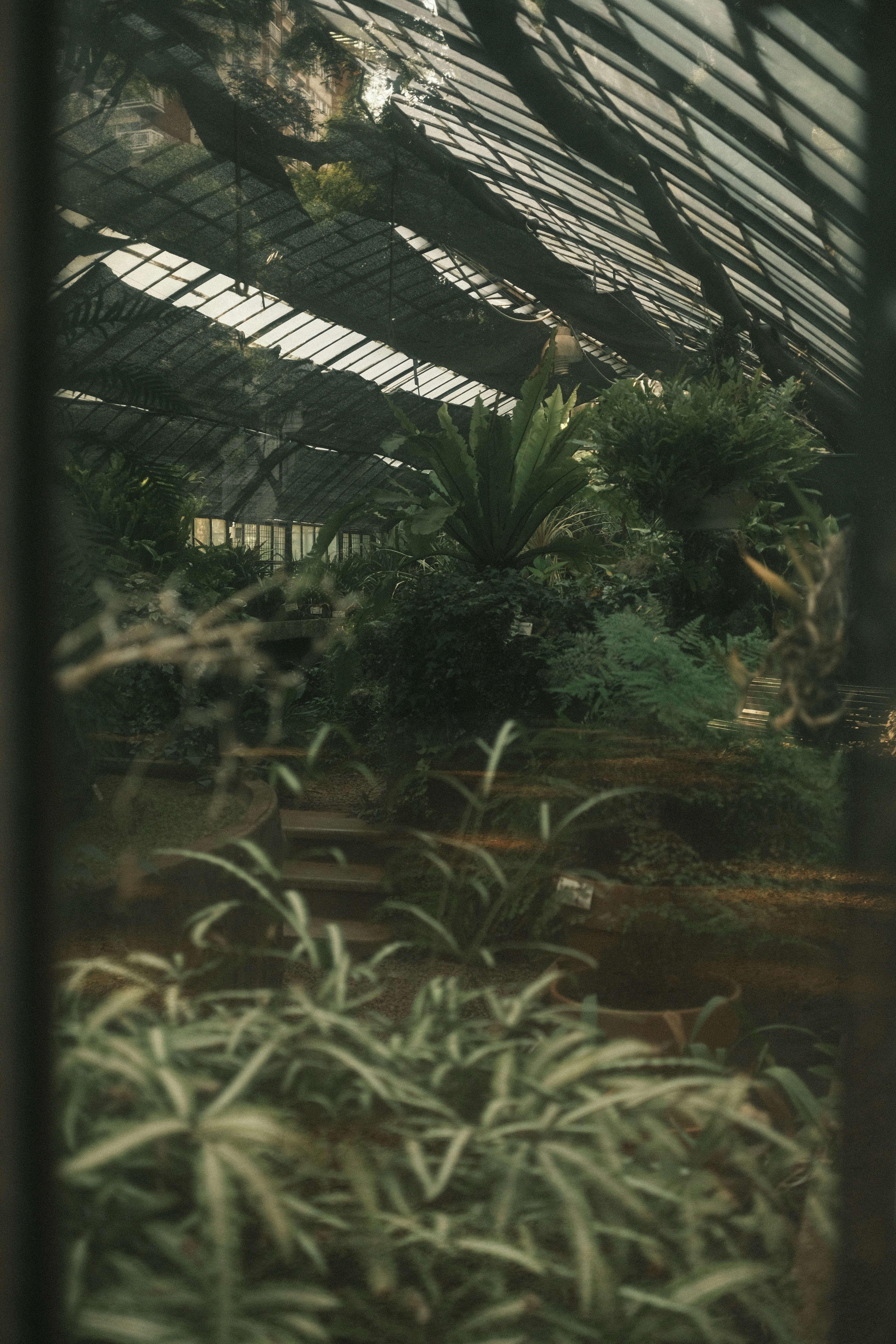 Photo by gabrielreisnf