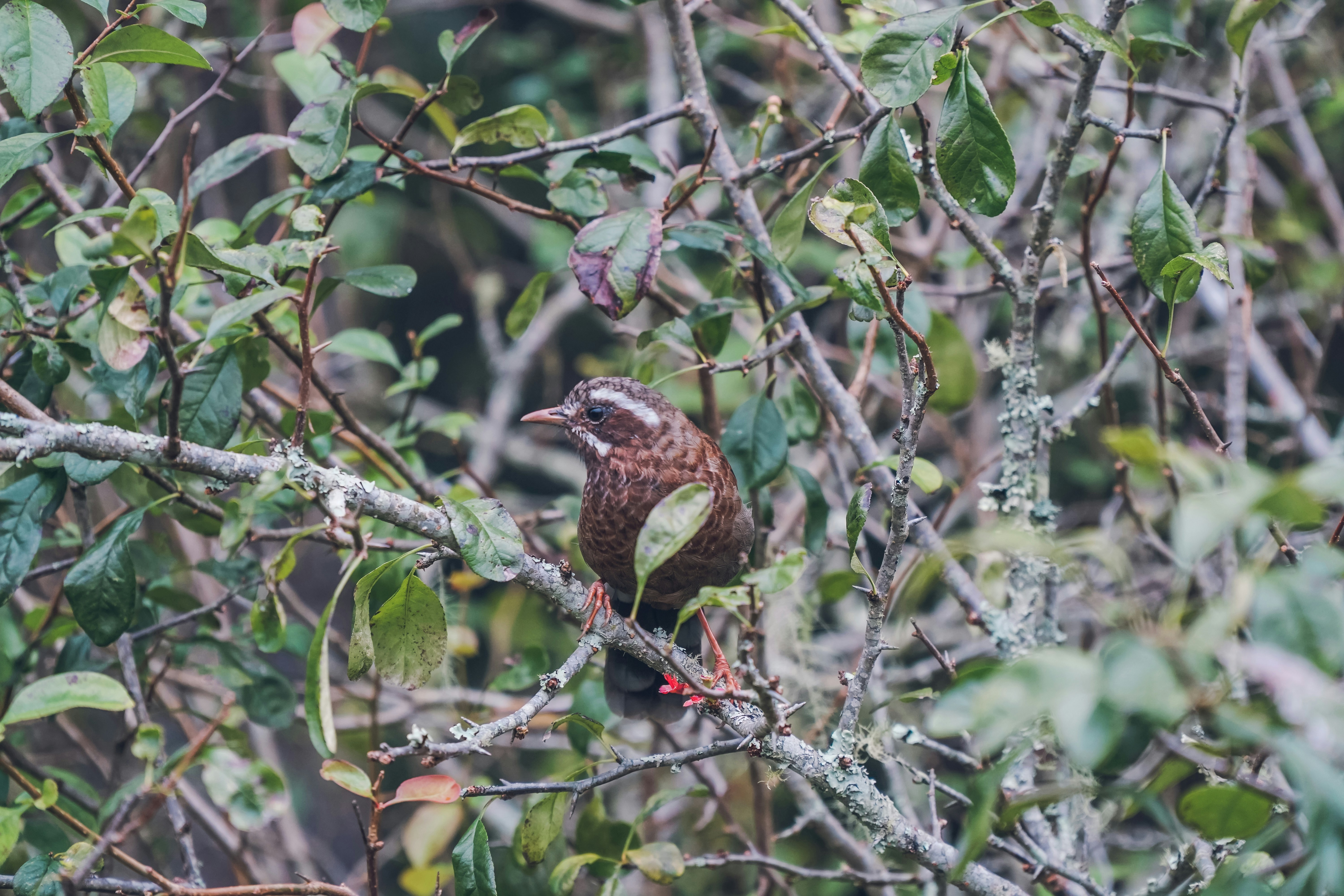 Photo by siaaa_photography