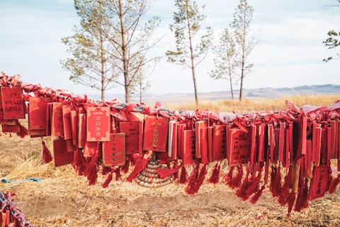 a string of red ribbons hanging from a tree