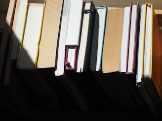 a row of books sitting on top of a shelf