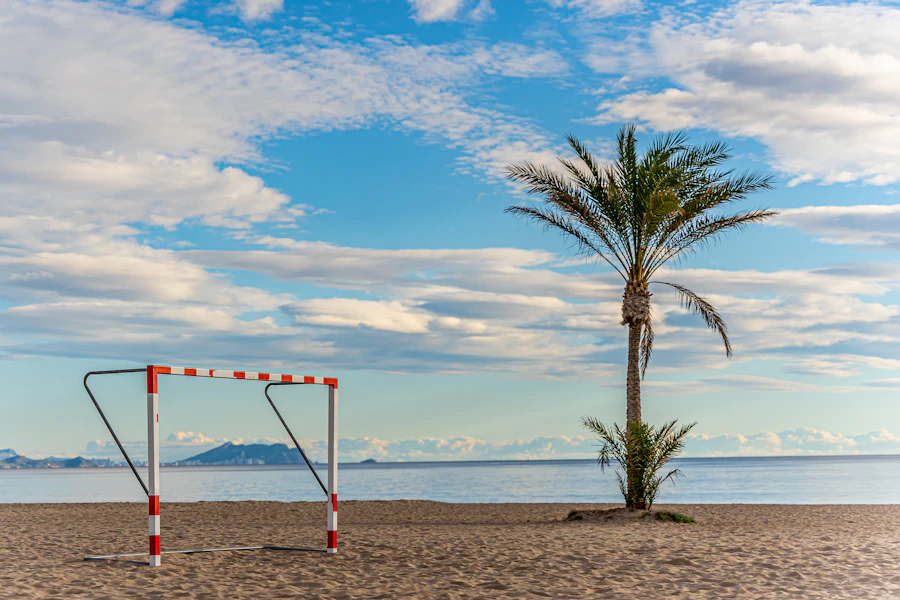 Palmboom aan het strand