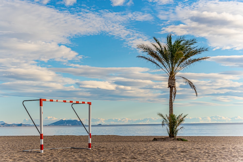 a palm tree on a beach next to a goal