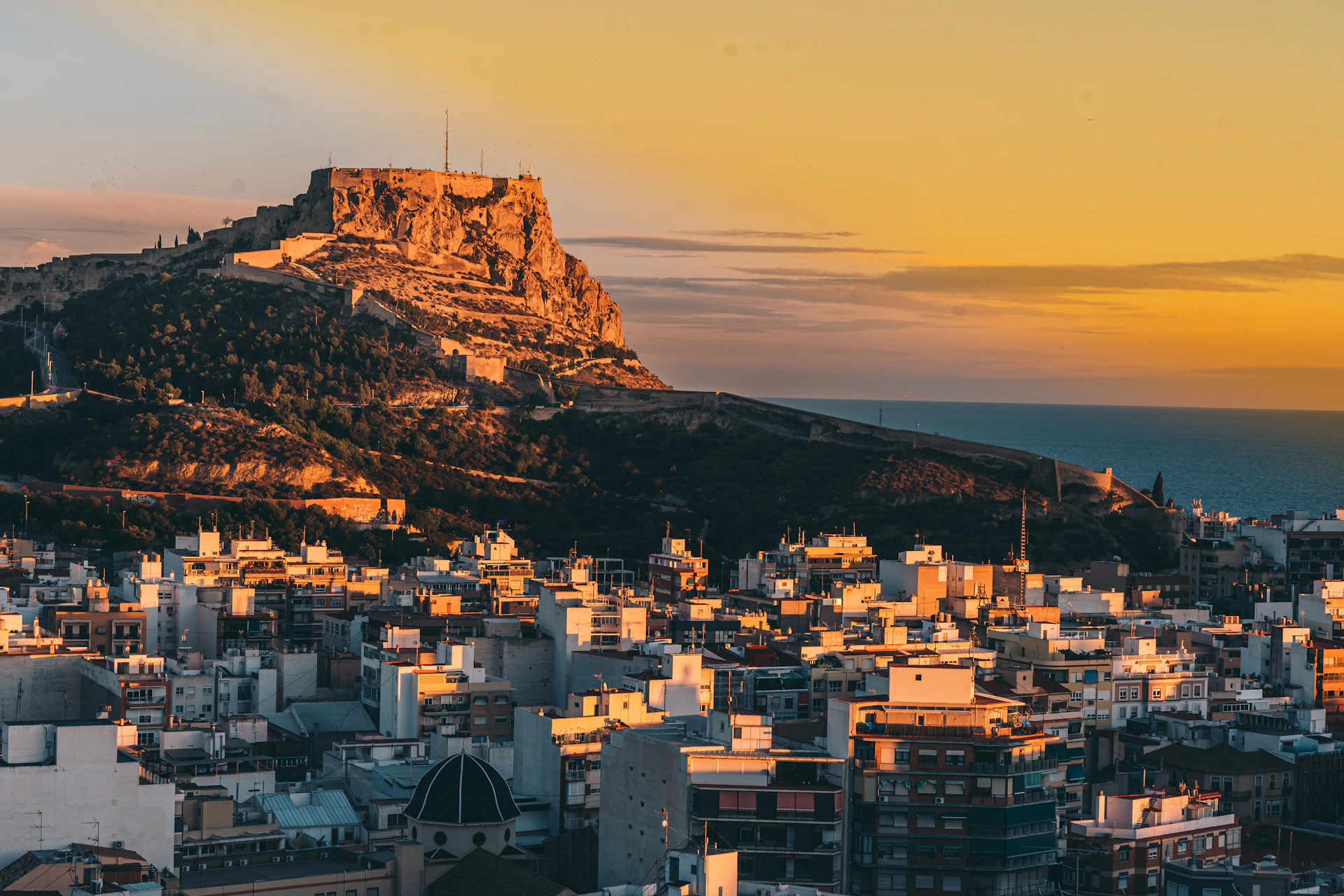 a view of a city with a mountain in the background