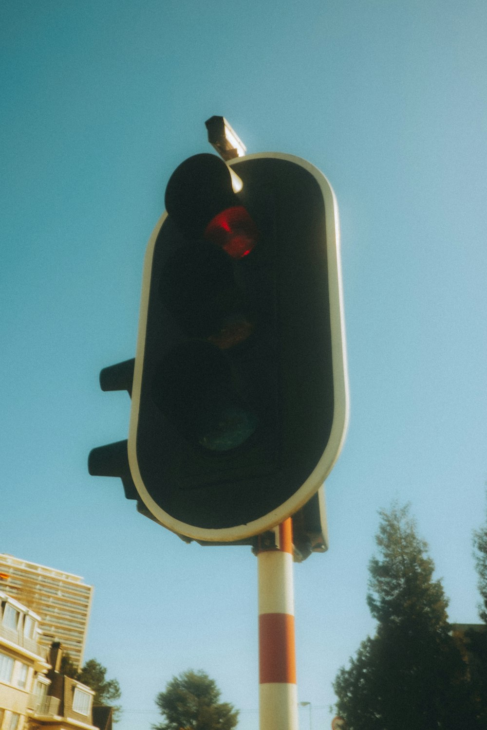 a traffic light with a bird sitting on top of it