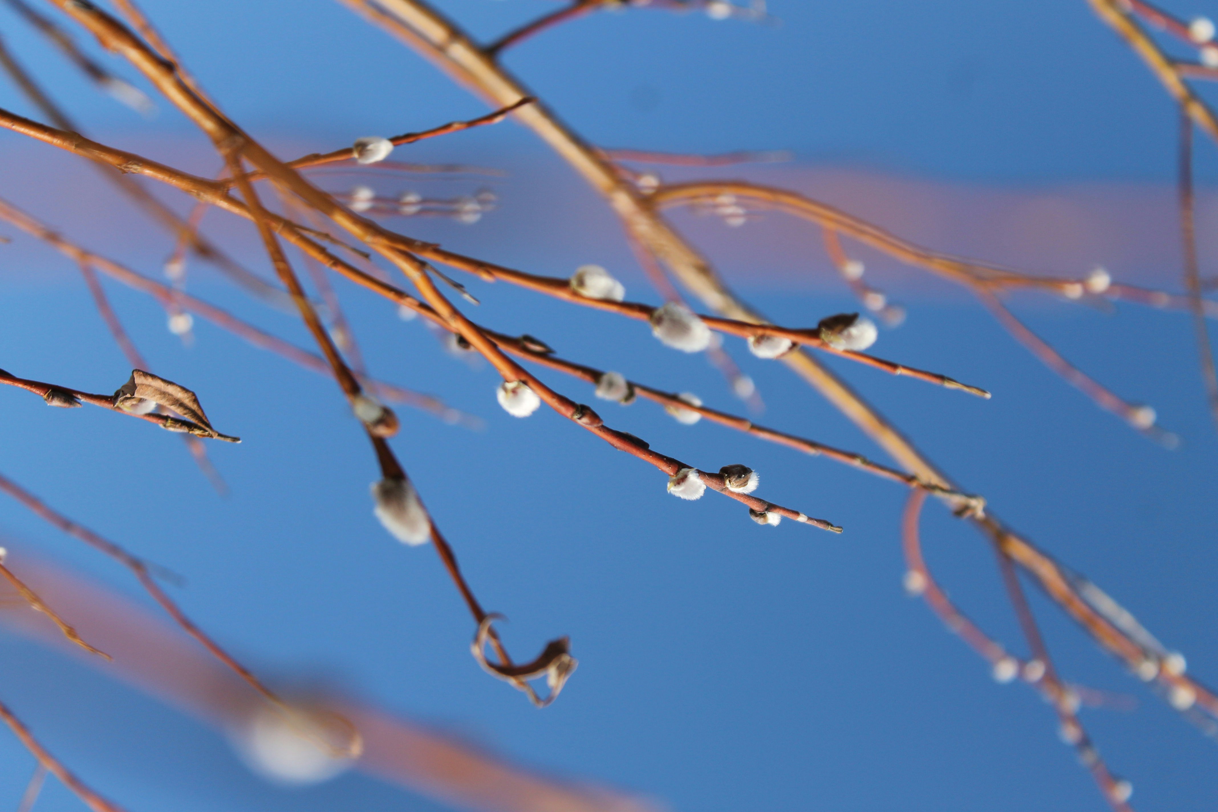 Photo by dragoncy635