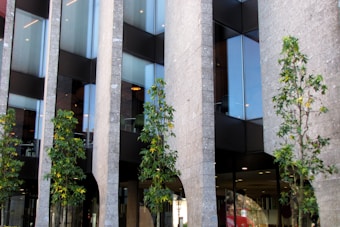 Modern architectural building facade with tall glass windows, stone walls, and several green trees lining the front. The structure features large vertical columns and reflective surfaces, creating a sleek and contemporary appearance.