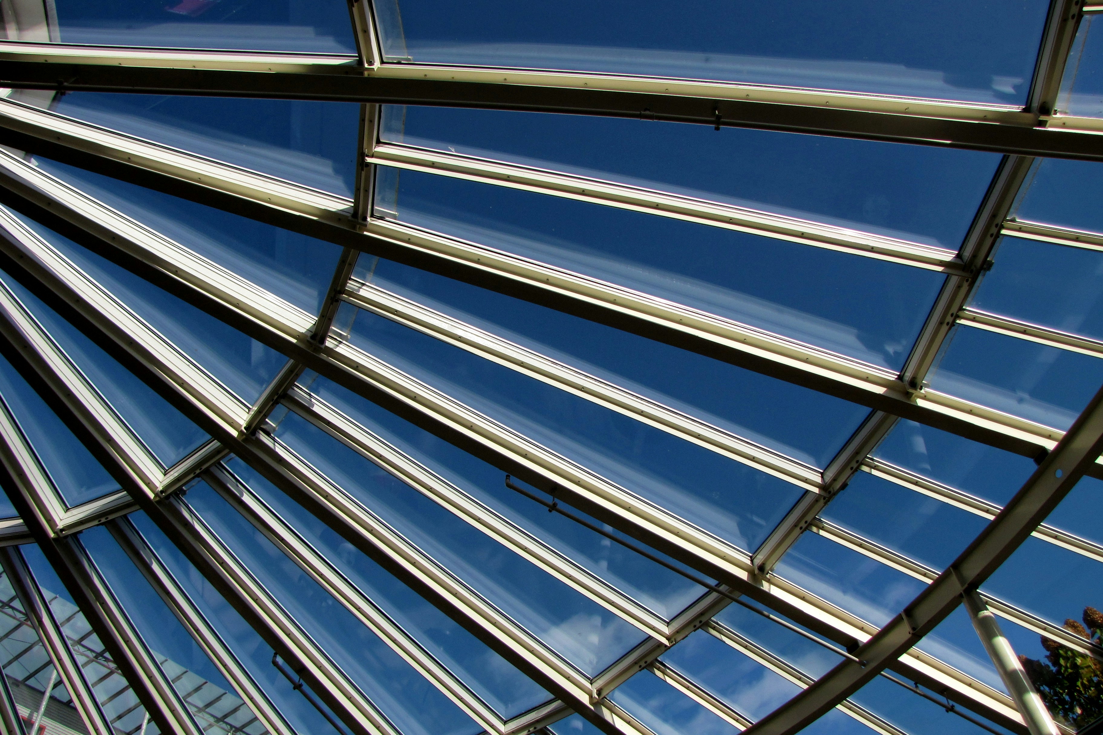 Photo by willythewizard