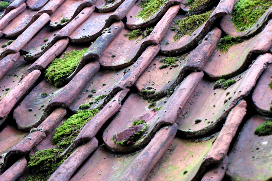 Tuiles envahies de mousse et de lichens