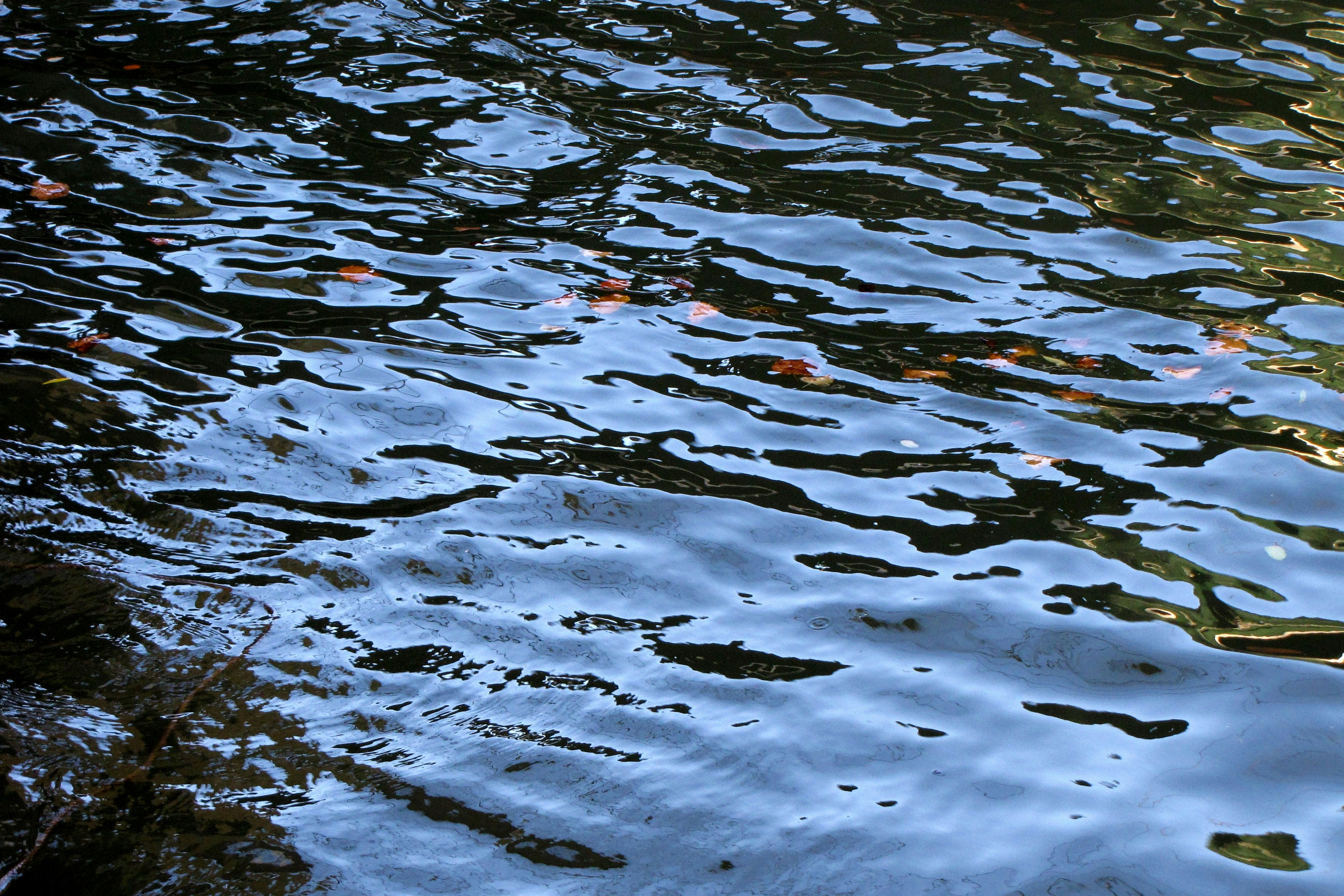 Photo by willythewizard