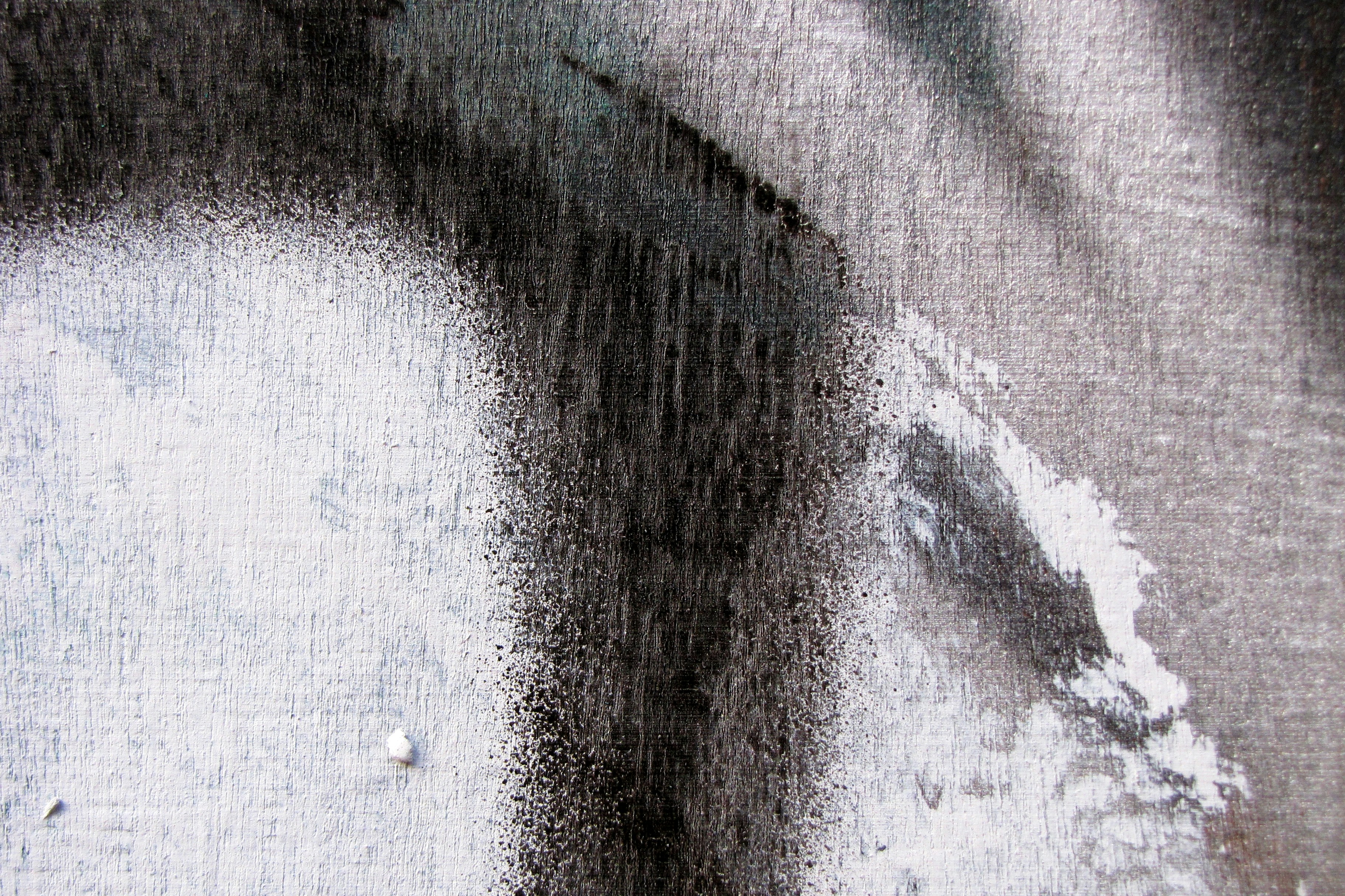 Photo by willythewizard