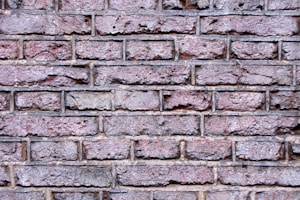Standard Burnt Bricks