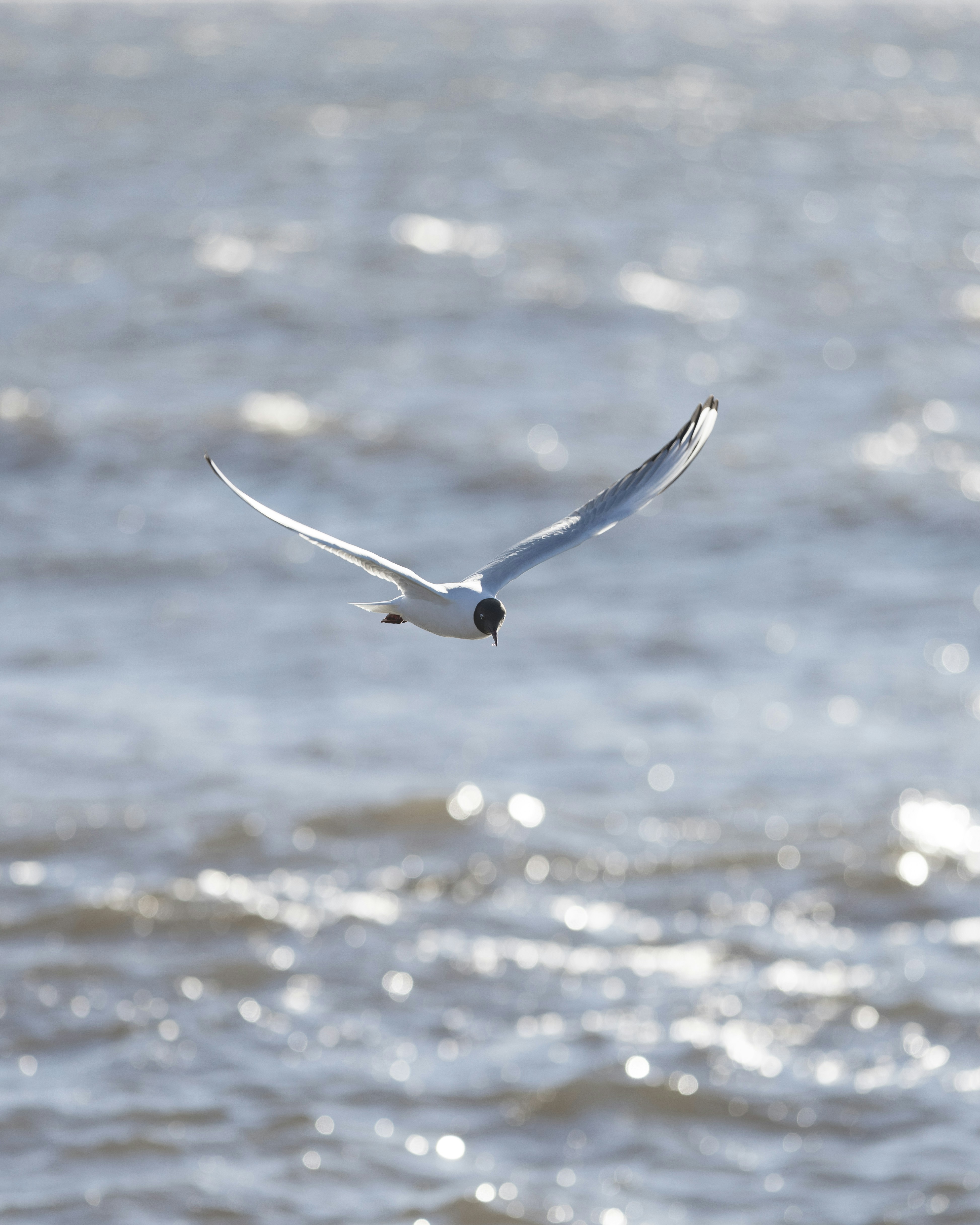 Photo by armandsbrants