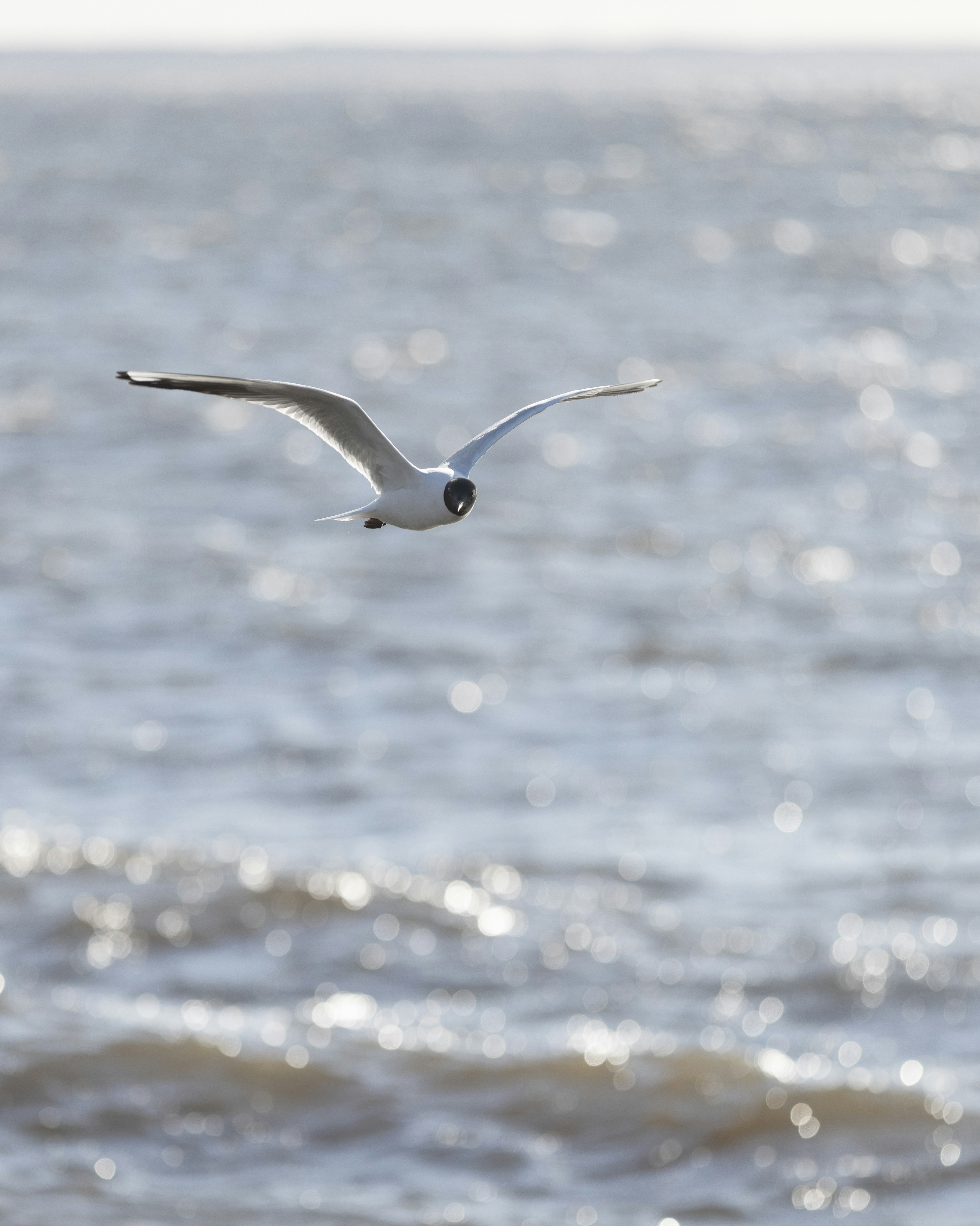 Photo by armandsbrants