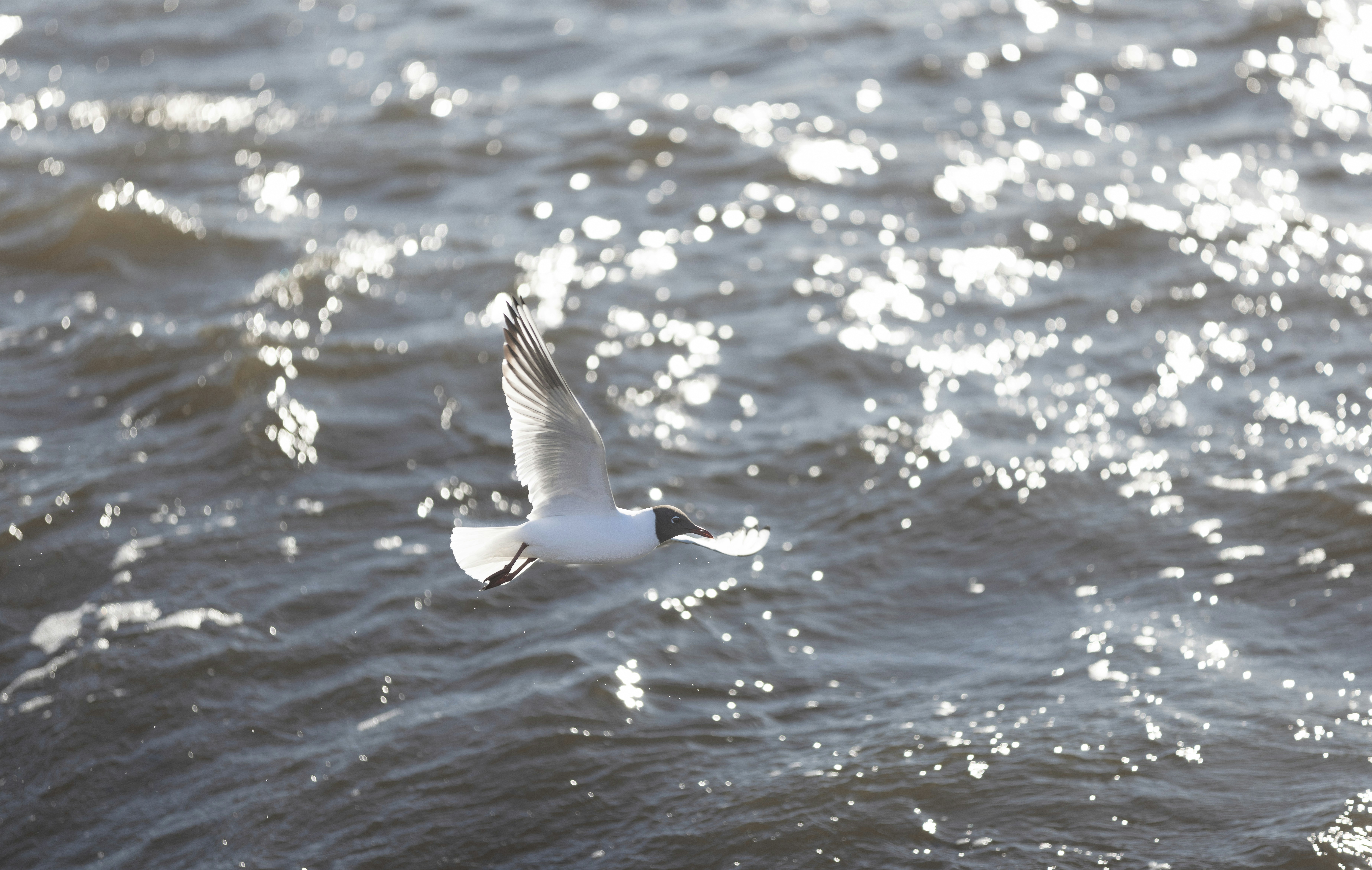 Photo by armandsbrants