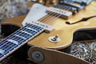A close-up view of a guitar with a focus on the strings, switch, and part of the body. The guitar has a glossy wood finish and is placed on a textured surface, possibly straw. Details include the control knob and visible parts of the pickguard.